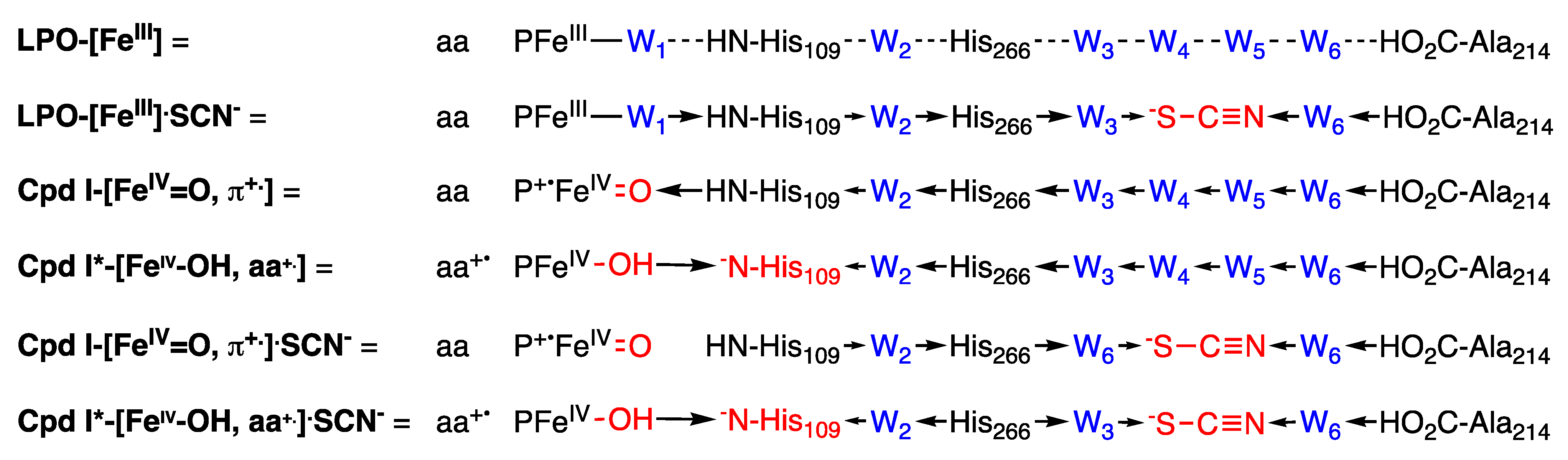 Antioxidants 10 01646 g006