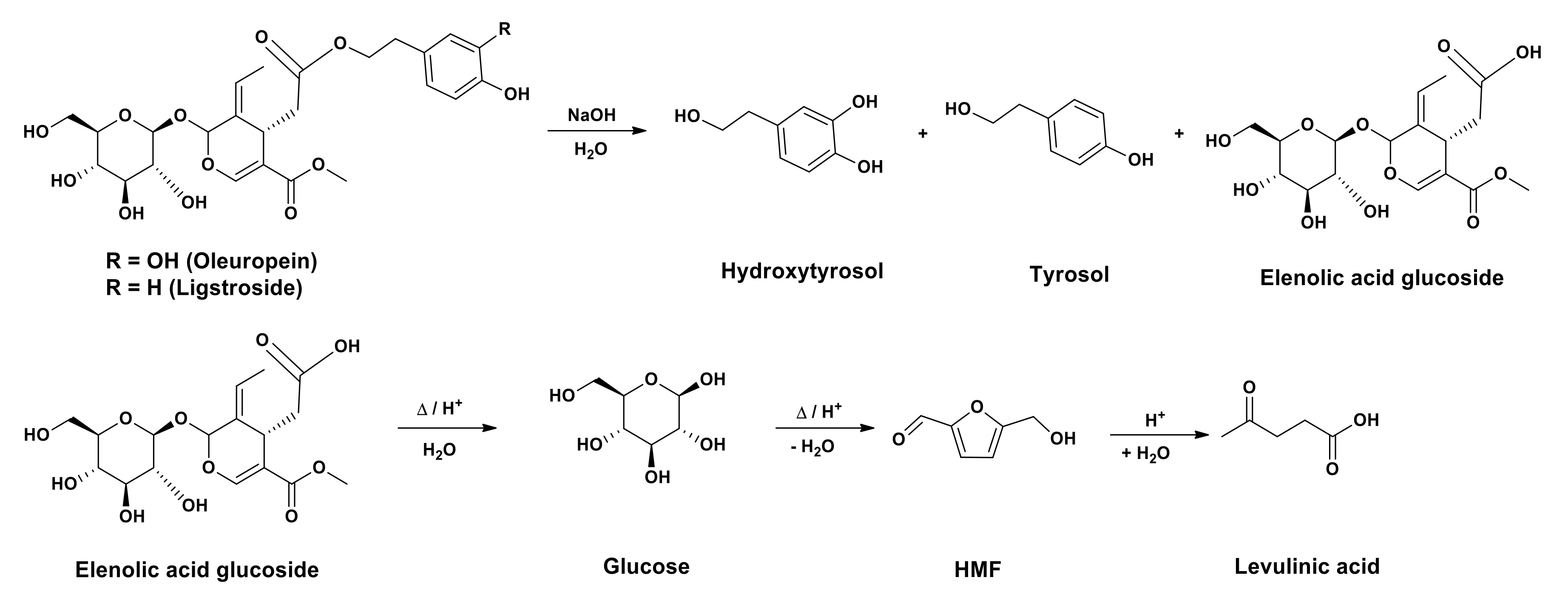 Antioxidants 10 01652 g001 550