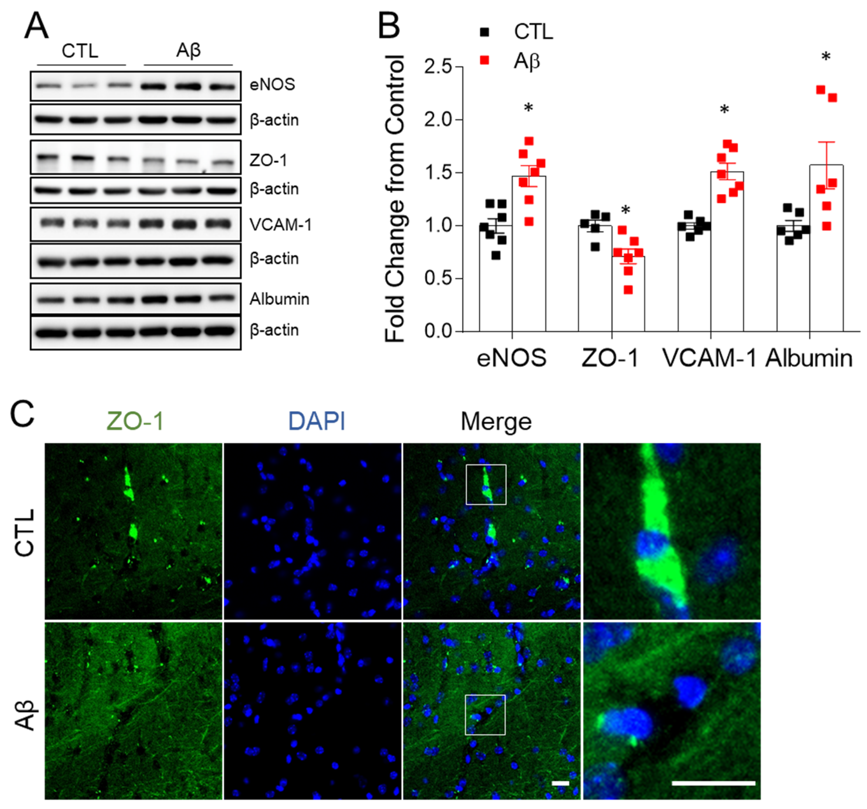 Antioxidants 10 01657 g004