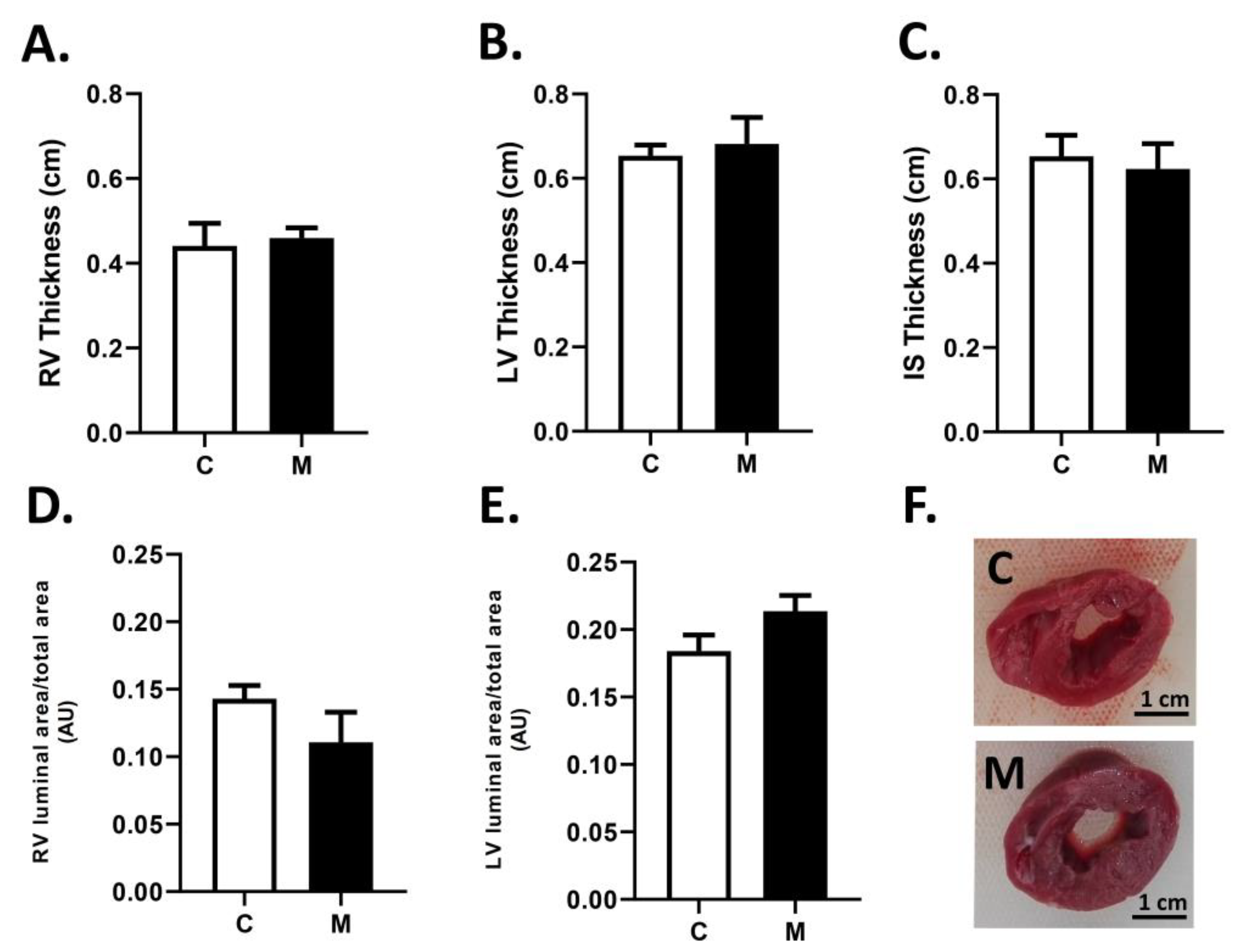 Antioxidants 10 01658 g002 550