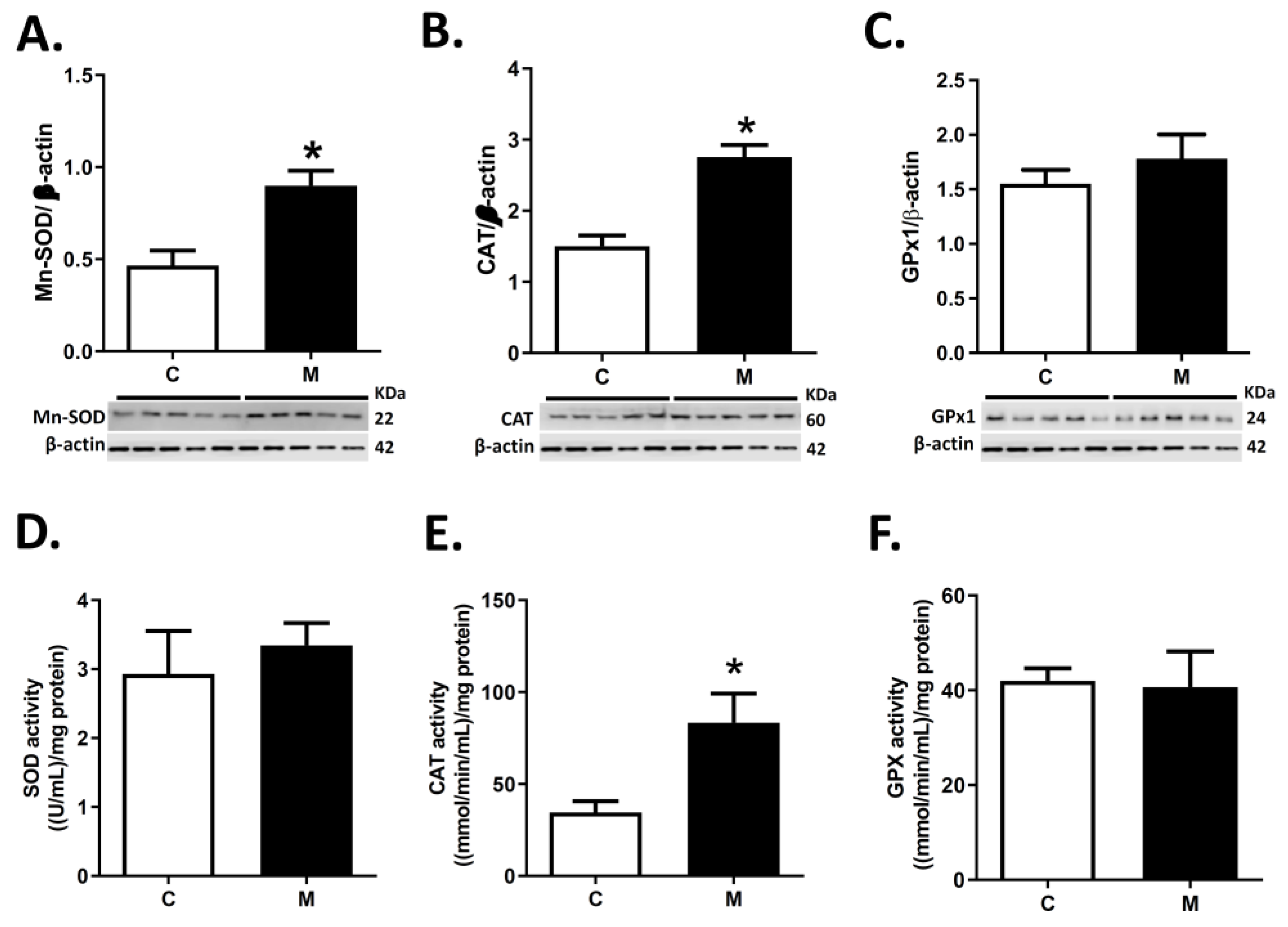Antioxidants 10 01658 g003 550