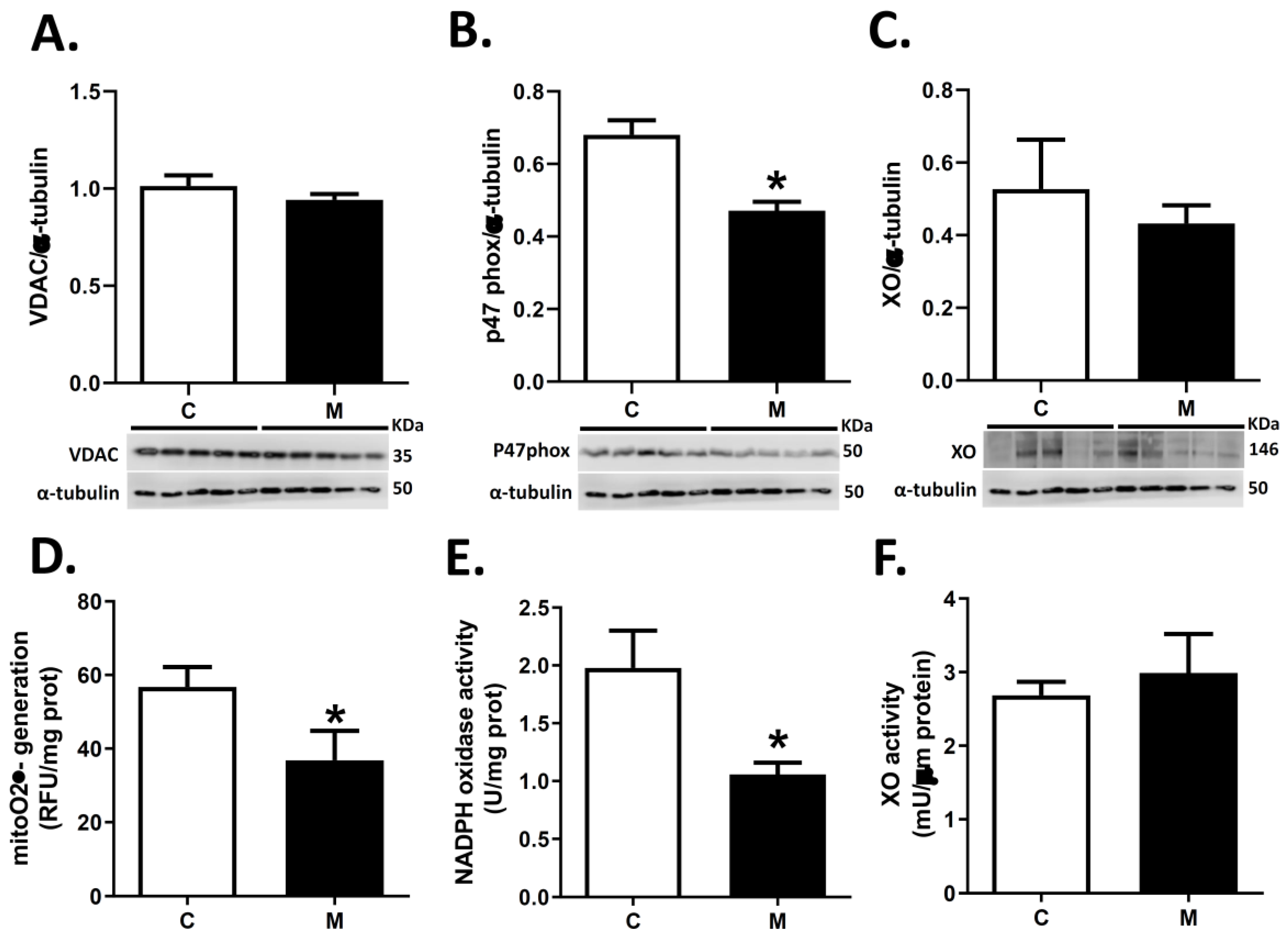 Antioxidants 10 01658 g004 550