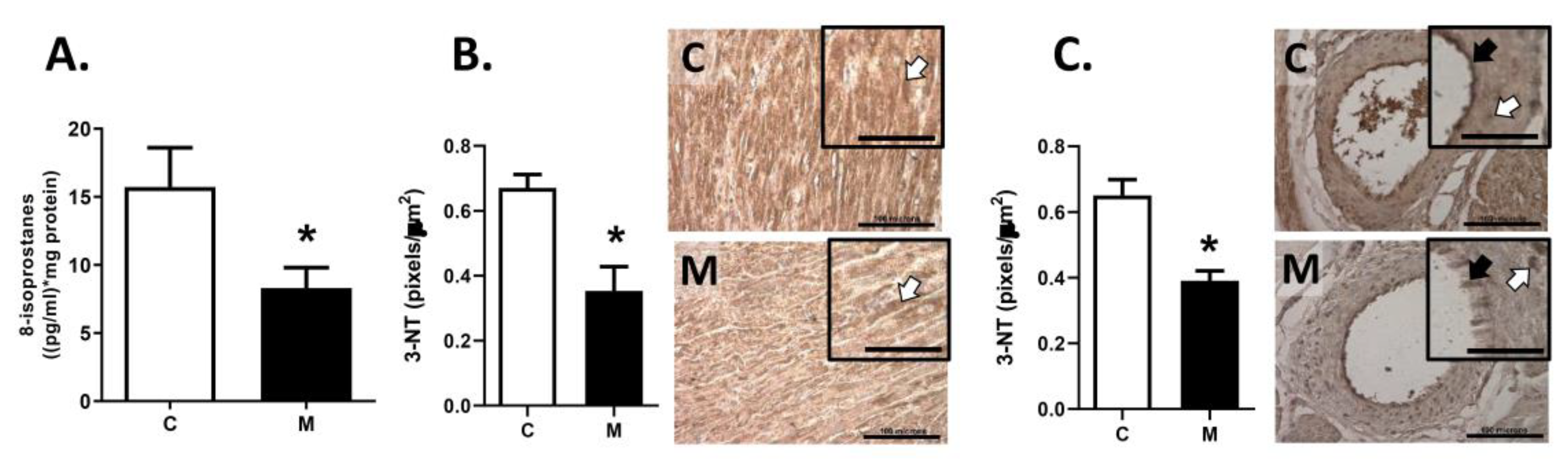 Antioxidants 10 01658 g005 550