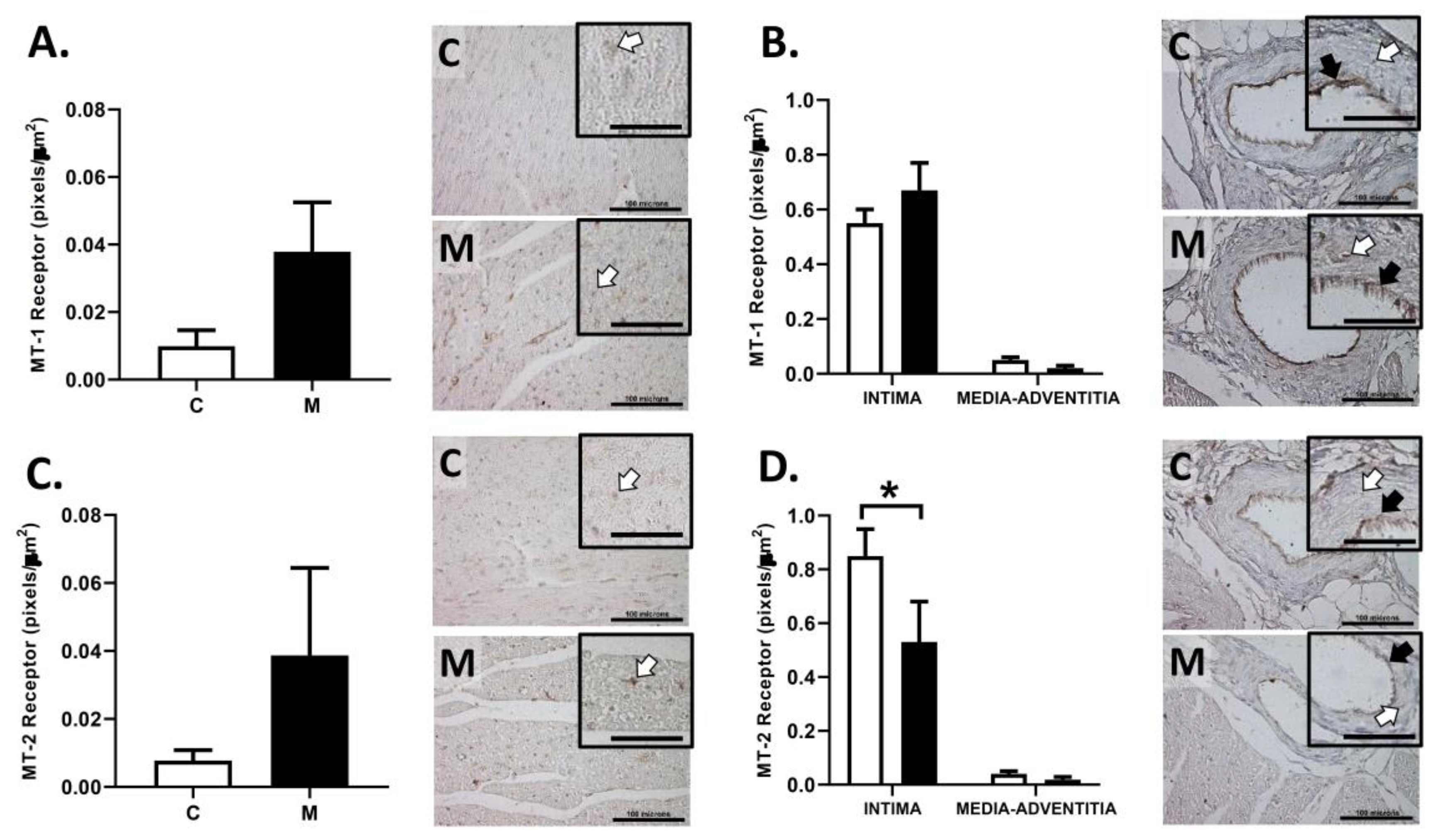 Antioxidants 10 01658 g006 550