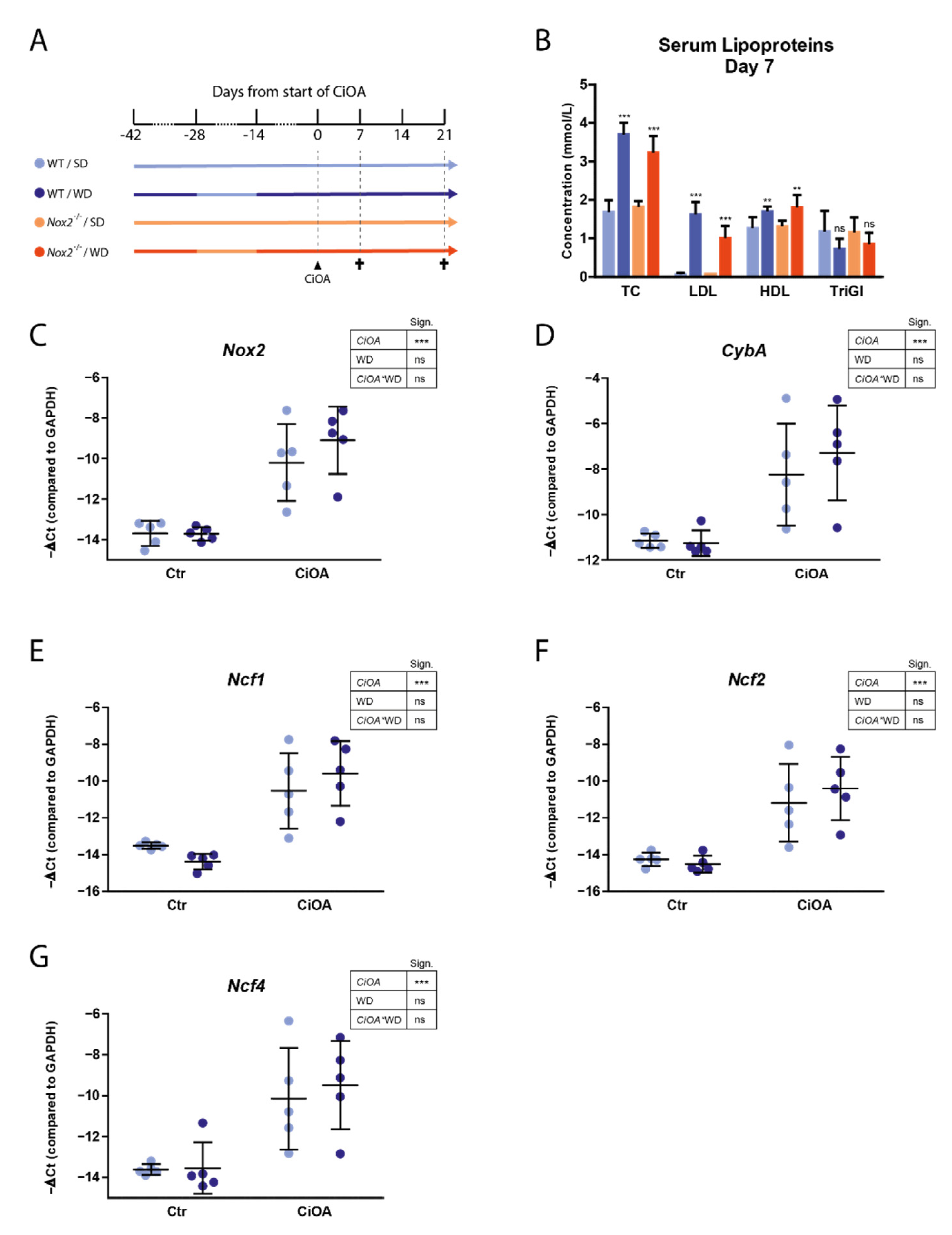 Antioxidants 10 01660 g002