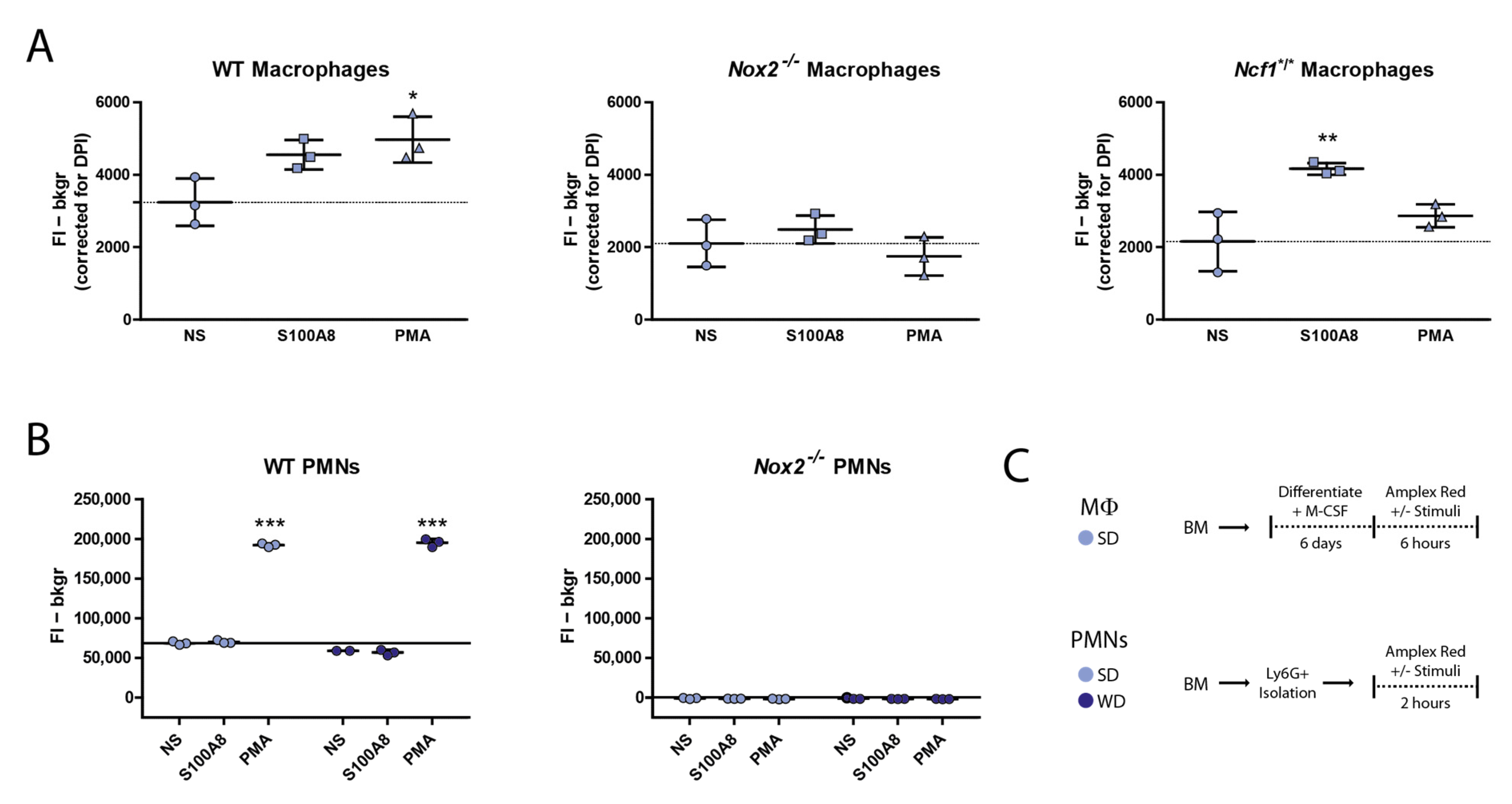Antioxidants 10 01660 g003