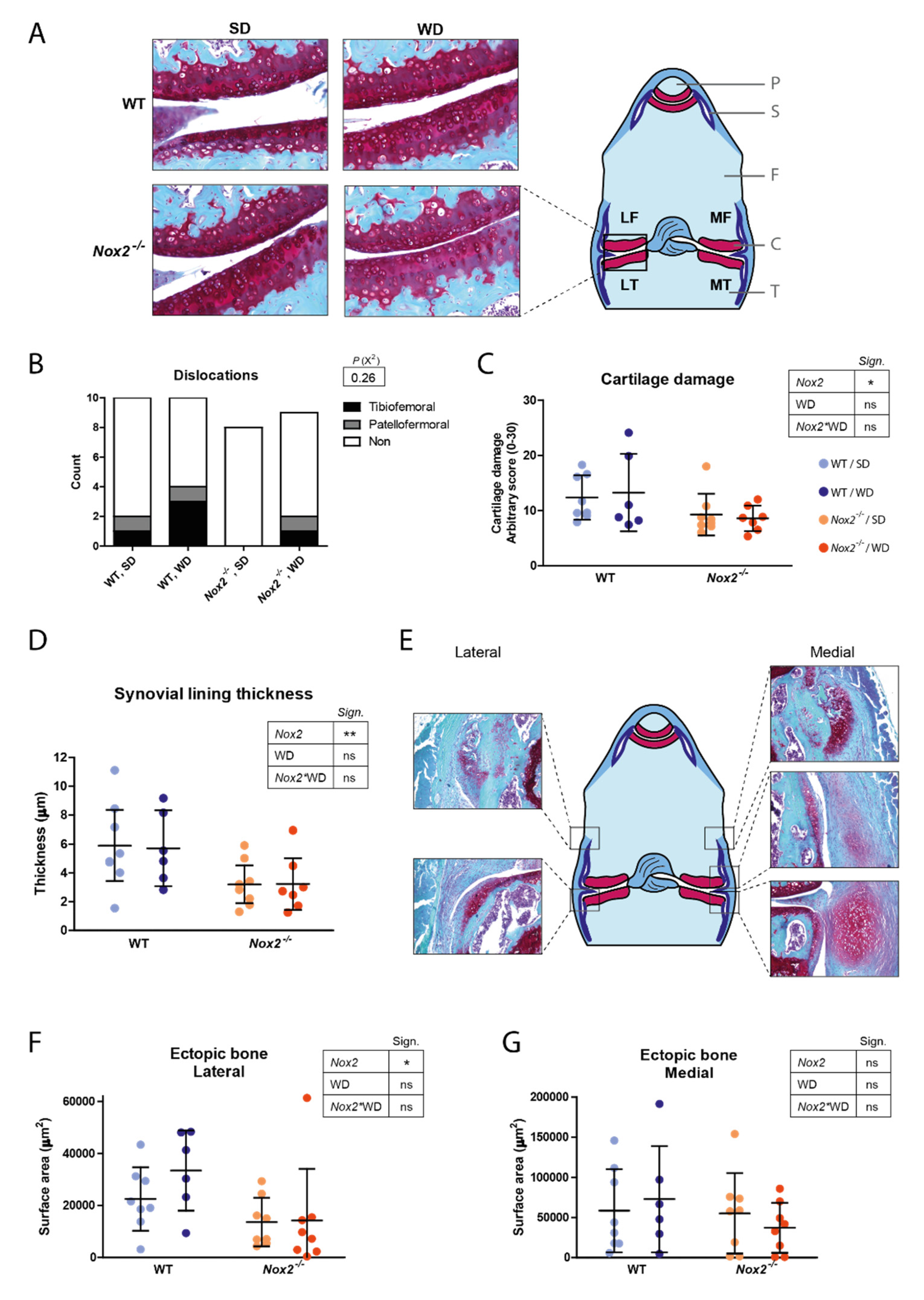 Antioxidants 10 01660 g005