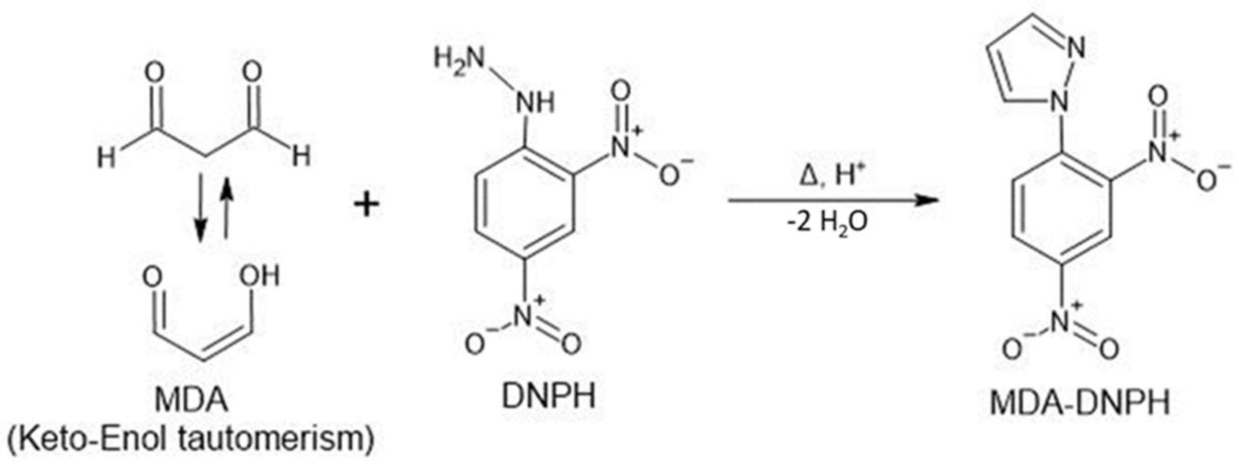 Antioxidants 10 01661 sch001 Antioxidants 10 01661 sch001