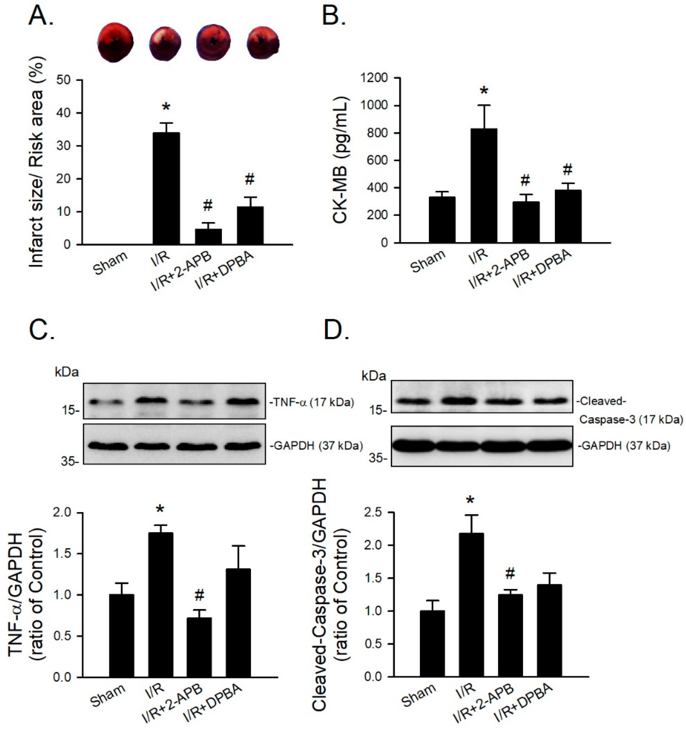 Antioxidants 10 01667 g007 550