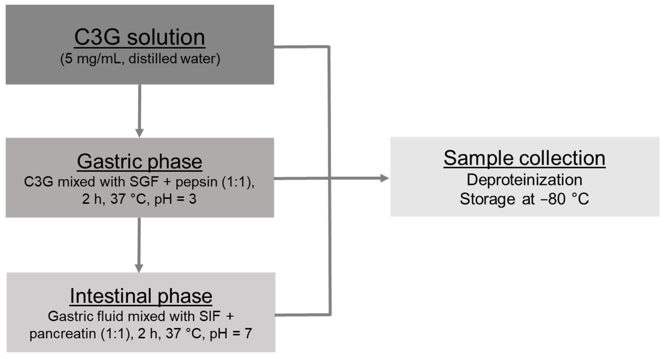 Antioxidants 10 01670 g001