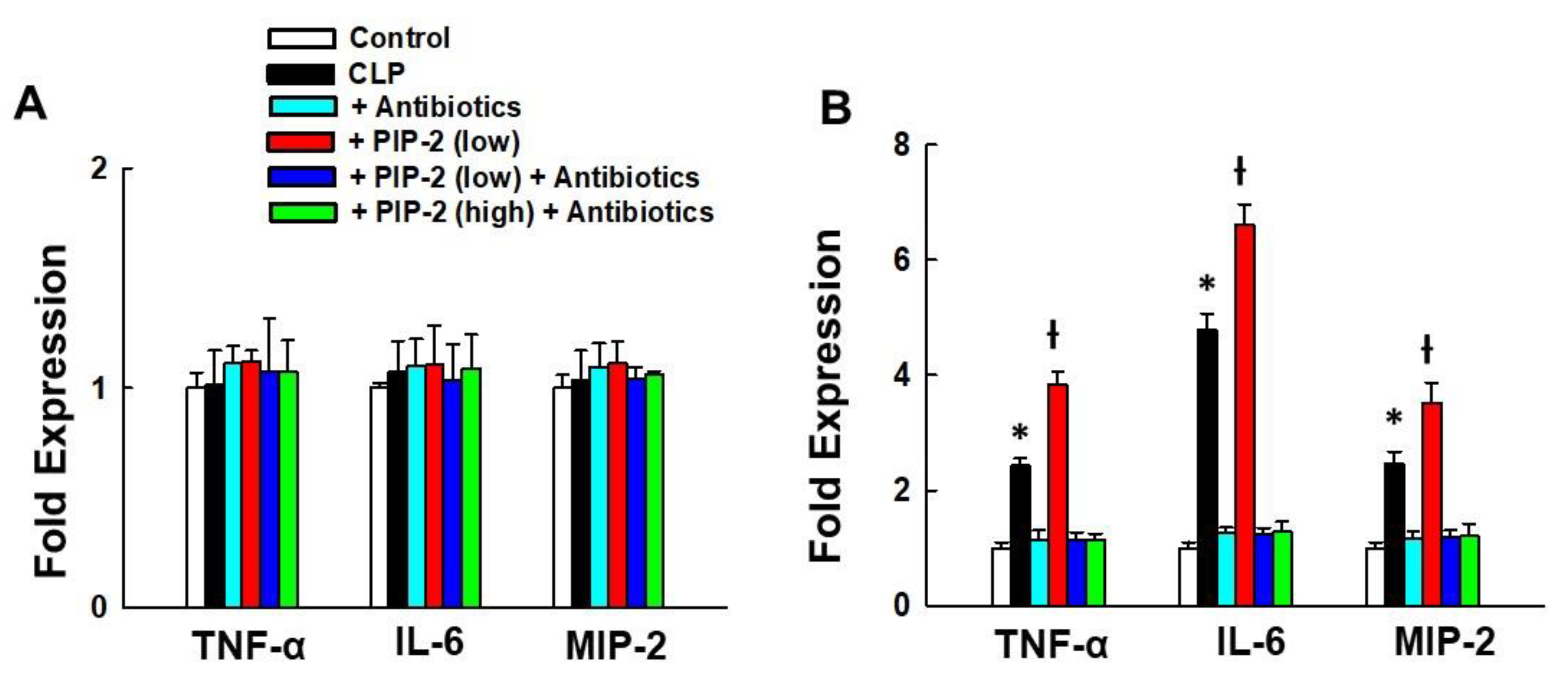 Antioxidants | Free Full-Text | Inhibition of Peroxiredoxin 6 PLA2 