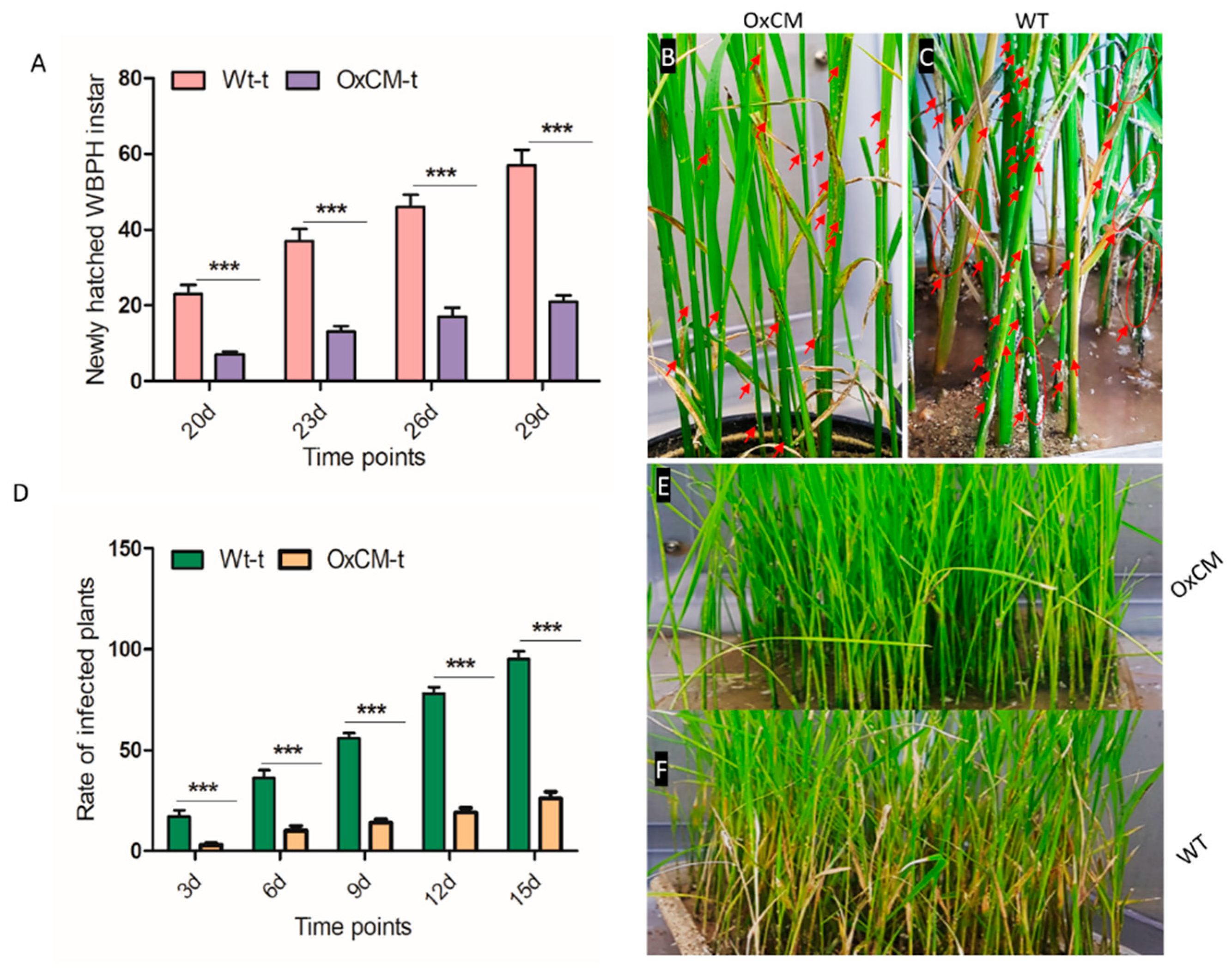 Antioxidants 10 01680 g002 550