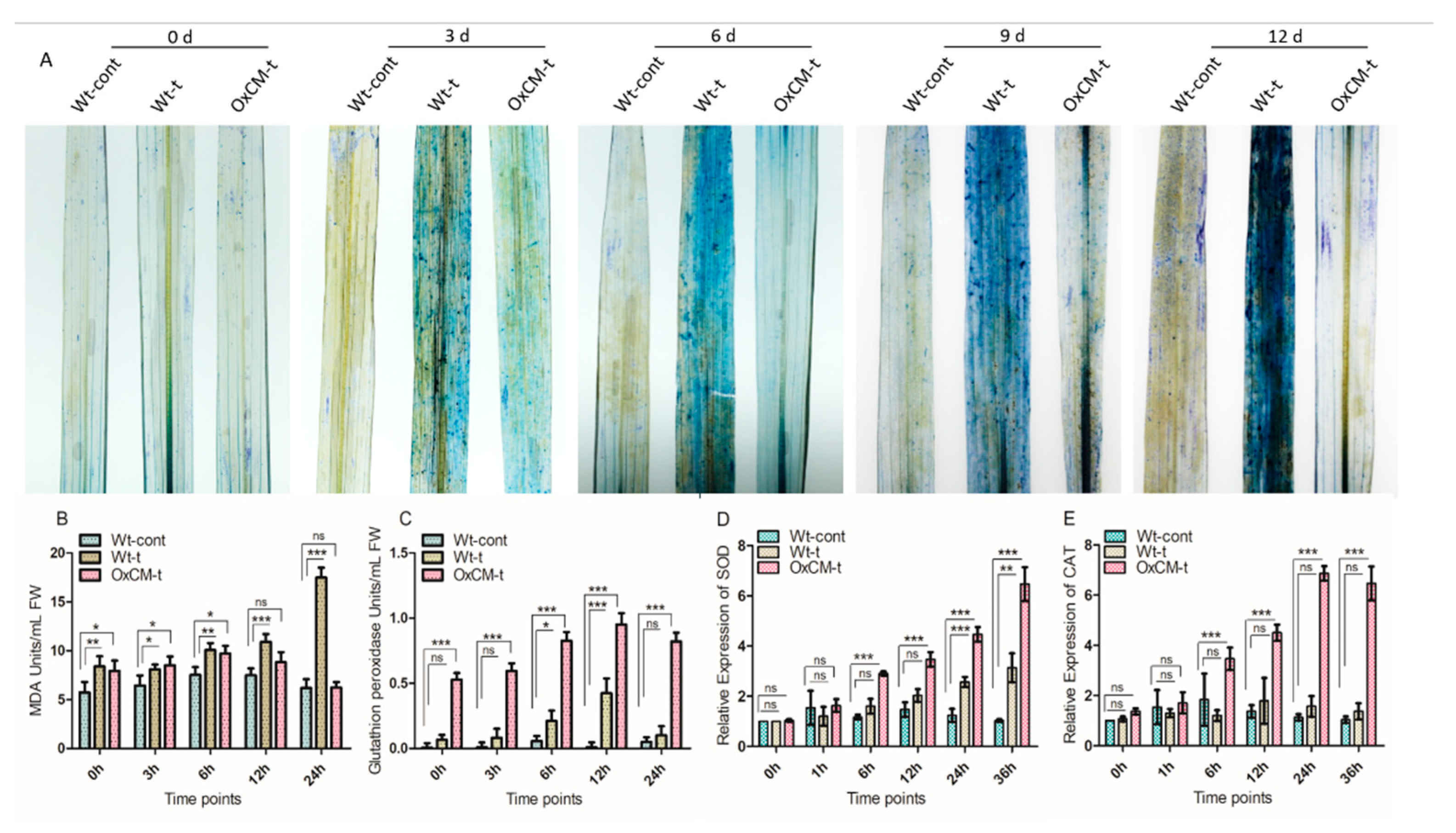 Antioxidants 10 01680 g005 550