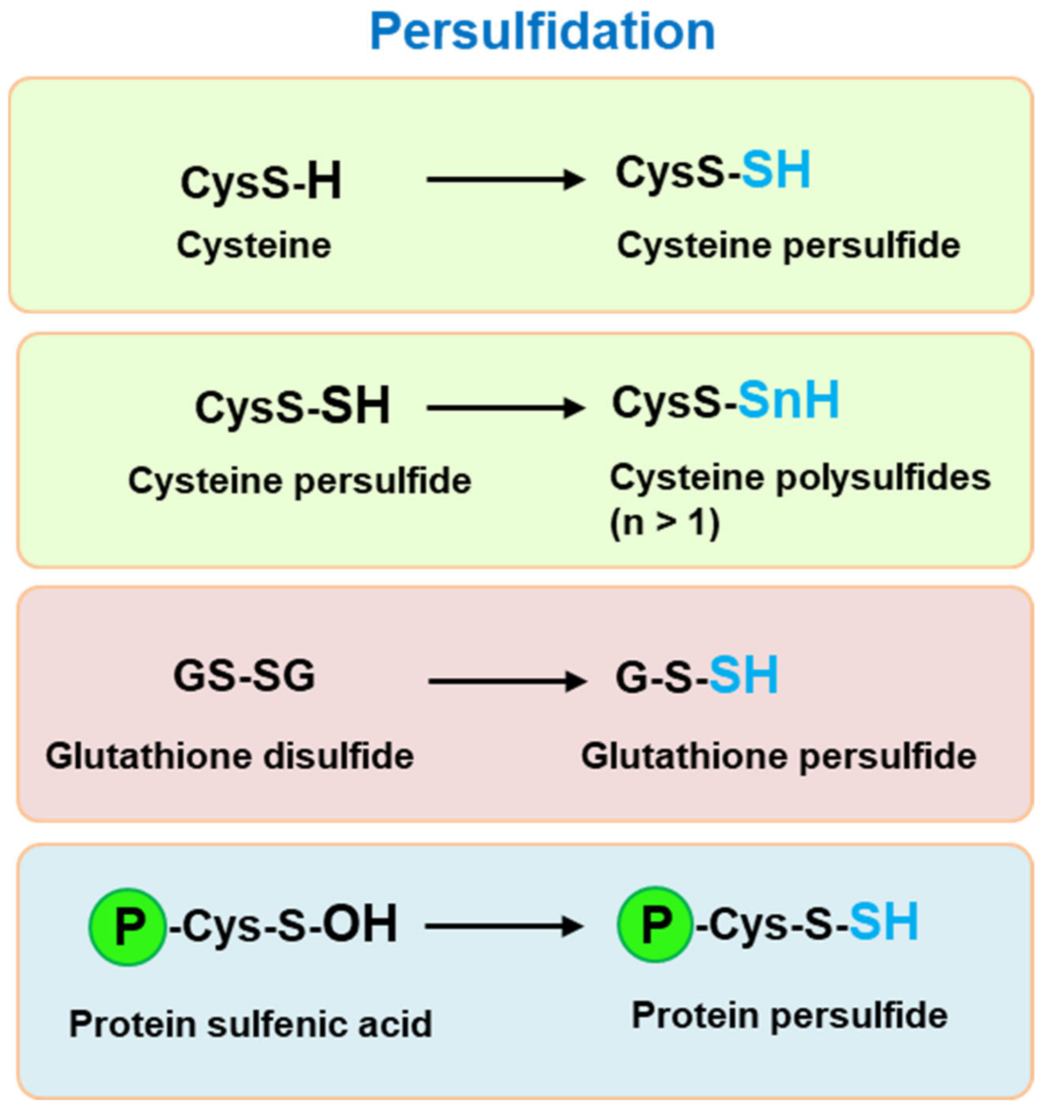 Antioxidants 10 01686 g002 Antioxidants 10 01686 g002