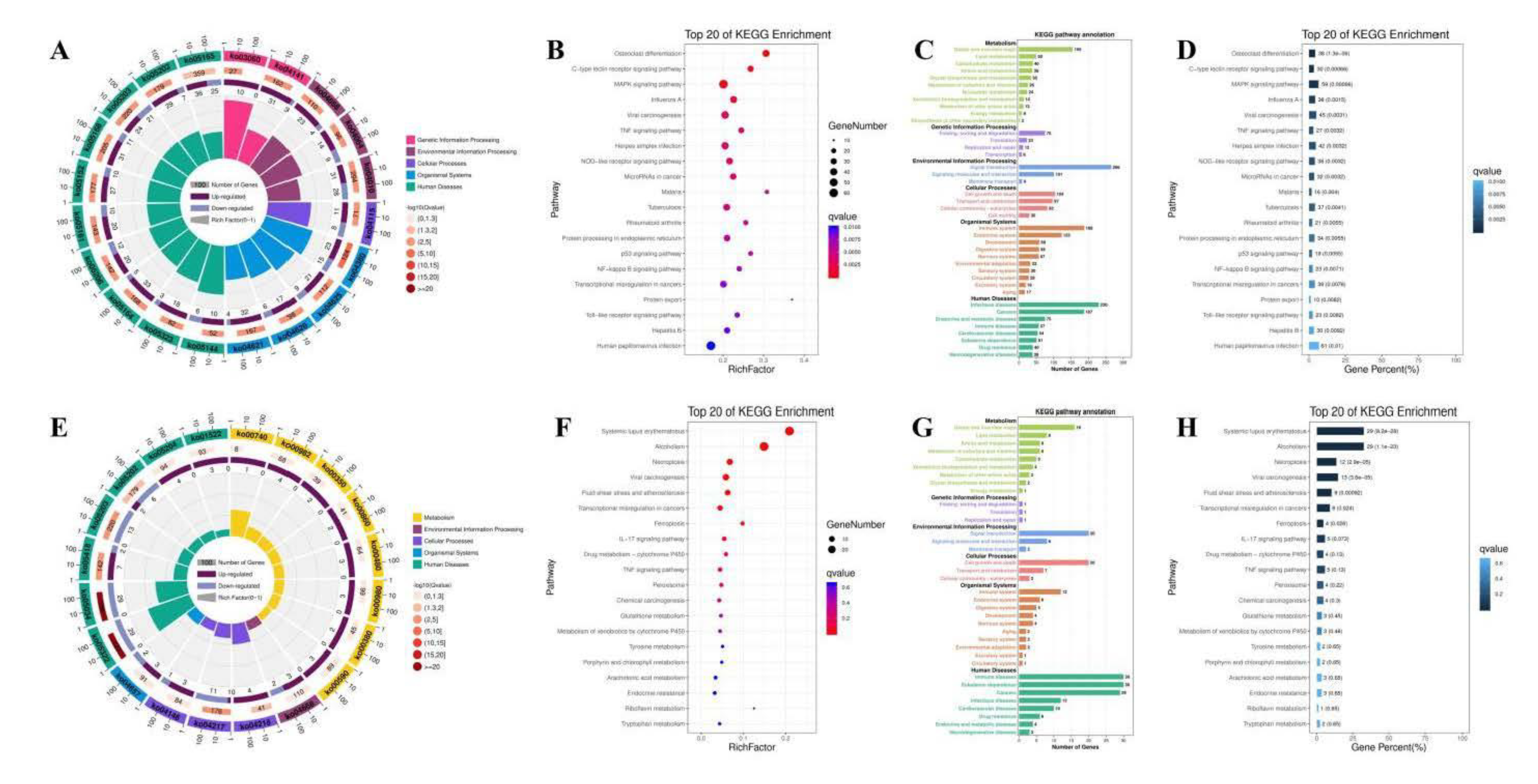 Antioxidants 10 01689 g011