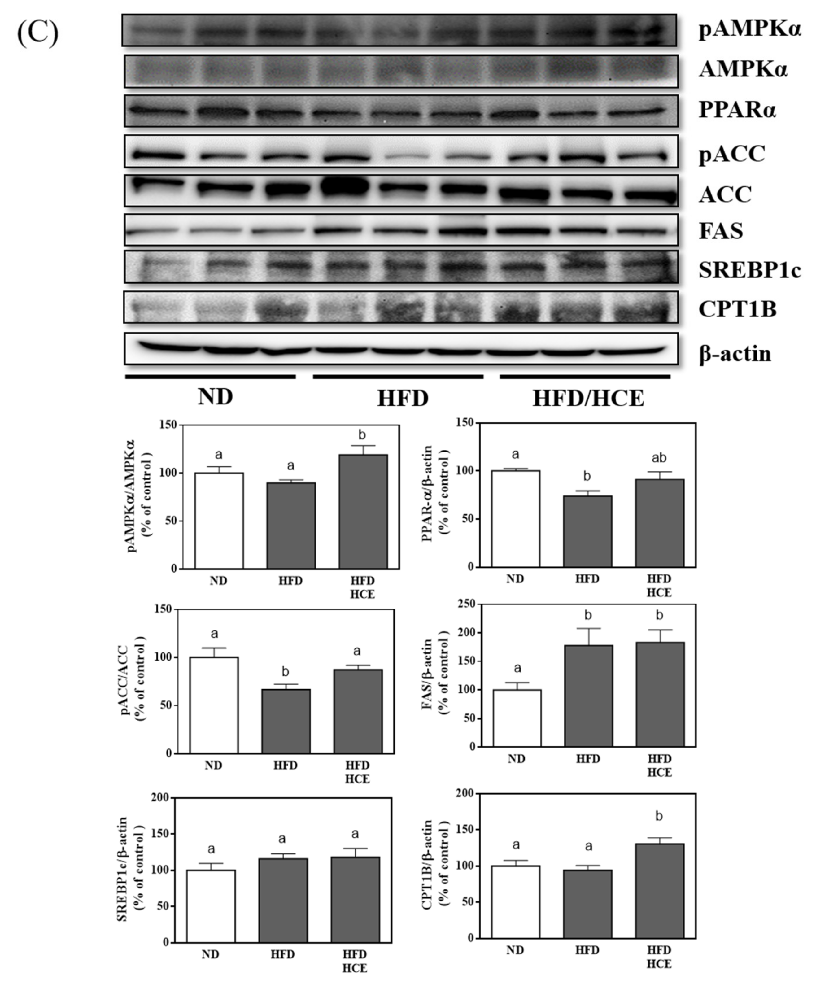 Antioxidants 10 01694 g006b 550