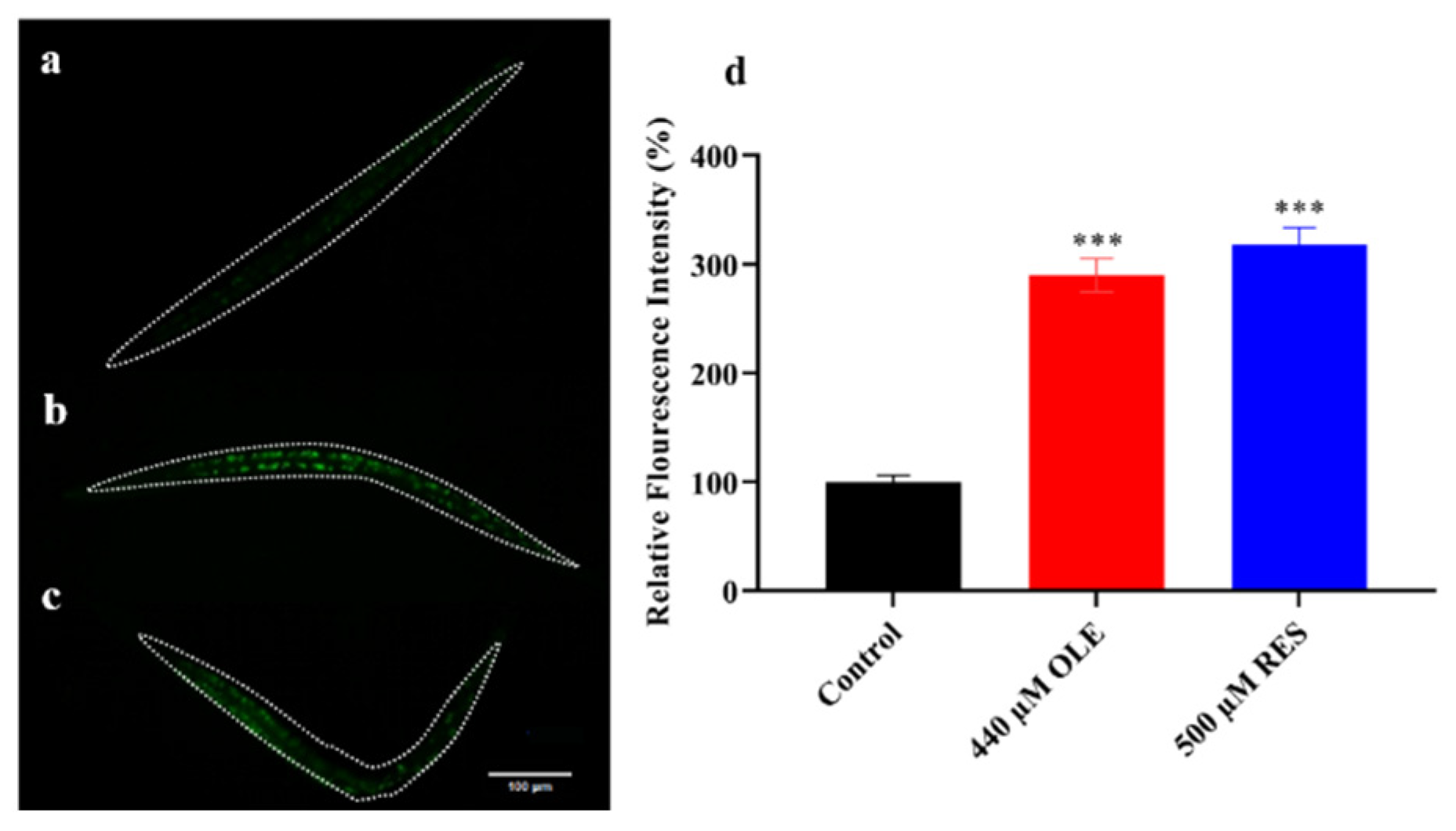 Antioxidants 10 01697 g005 Antioxidants 10 01697 g005