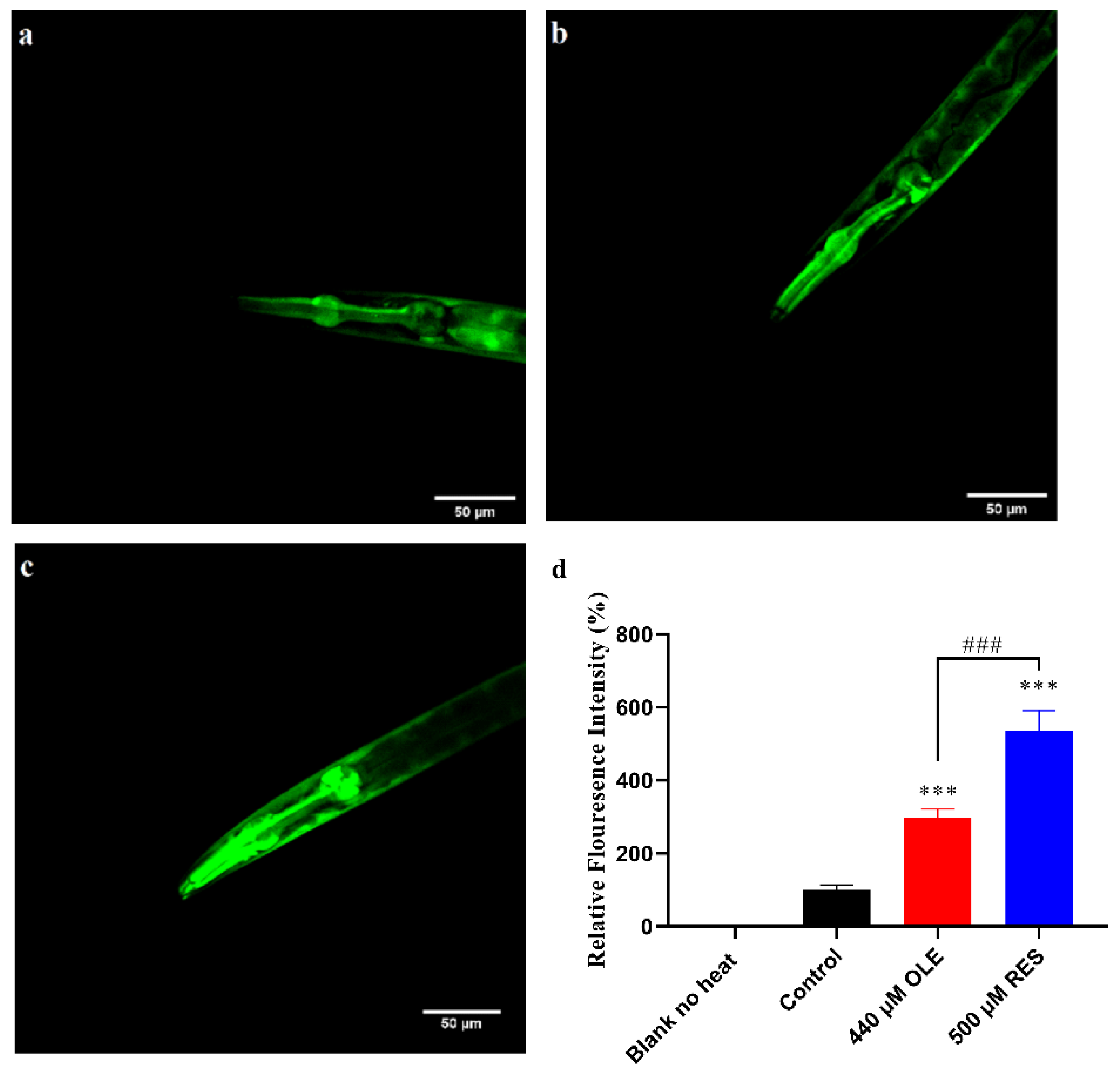 Antioxidants 10 01697 g007 Antioxidants 10 01697 g007