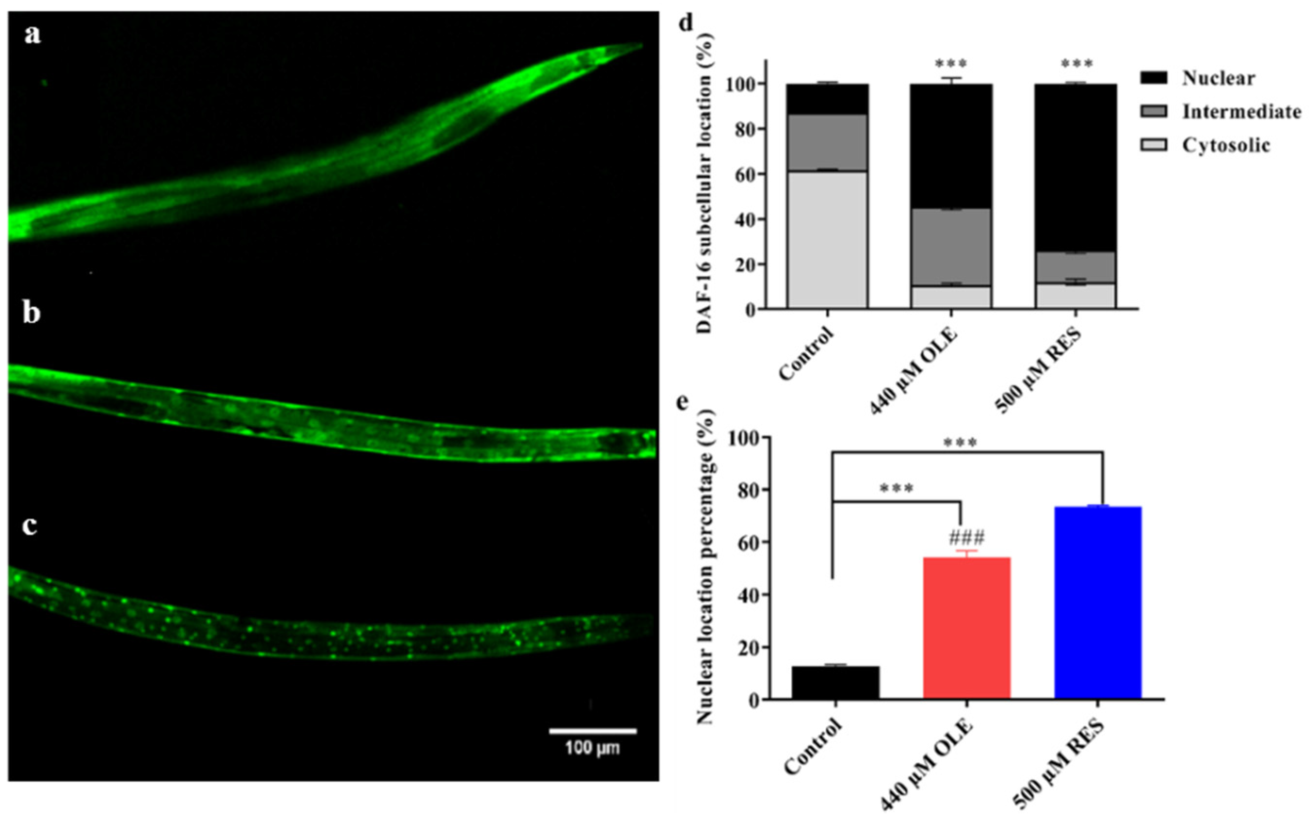 Antioxidants 10 01697 g008 Antioxidants 10 01697 g008