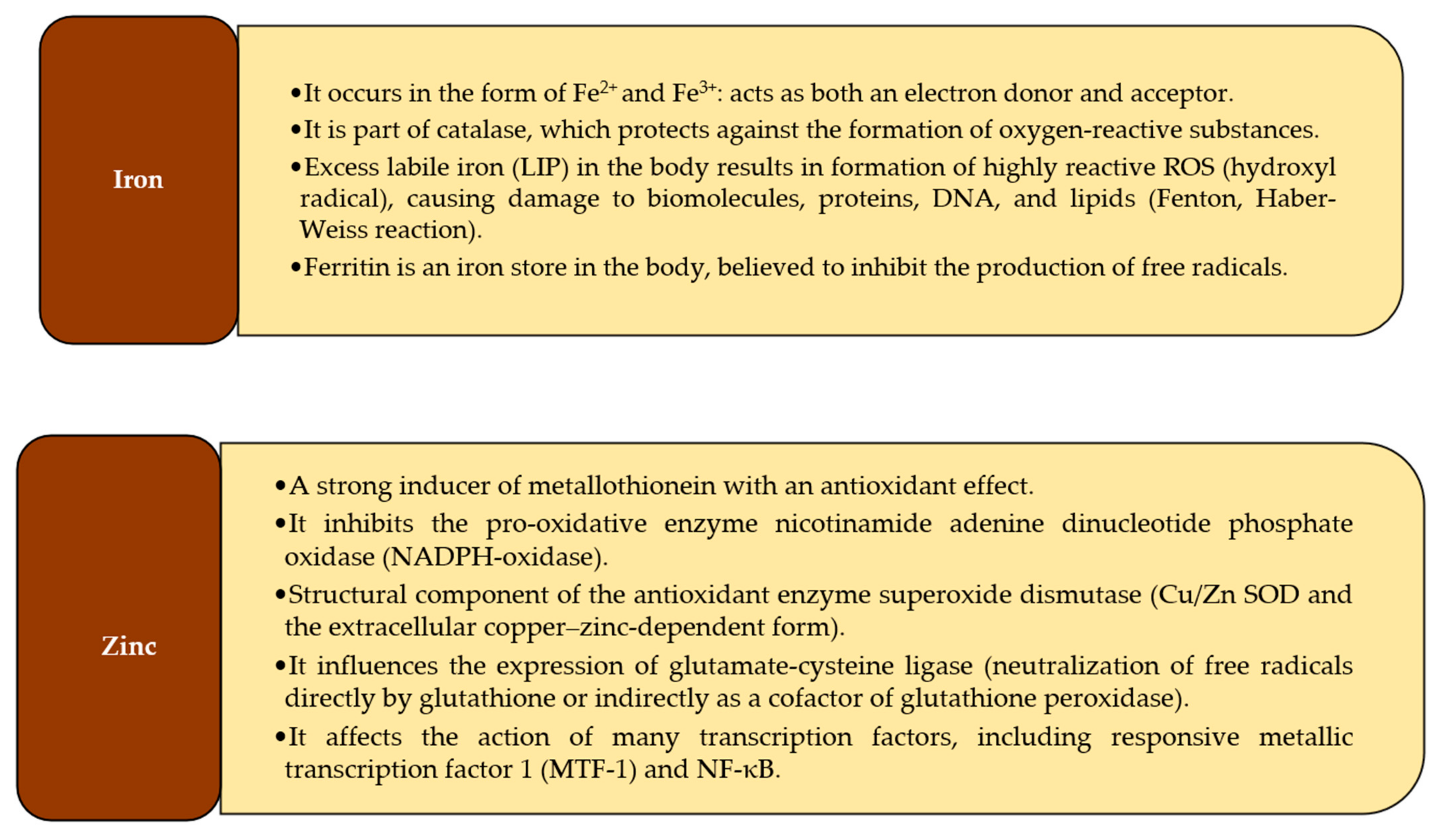 Antioxidants 10 01709 g001a Antioxidants 10 01709 g001a