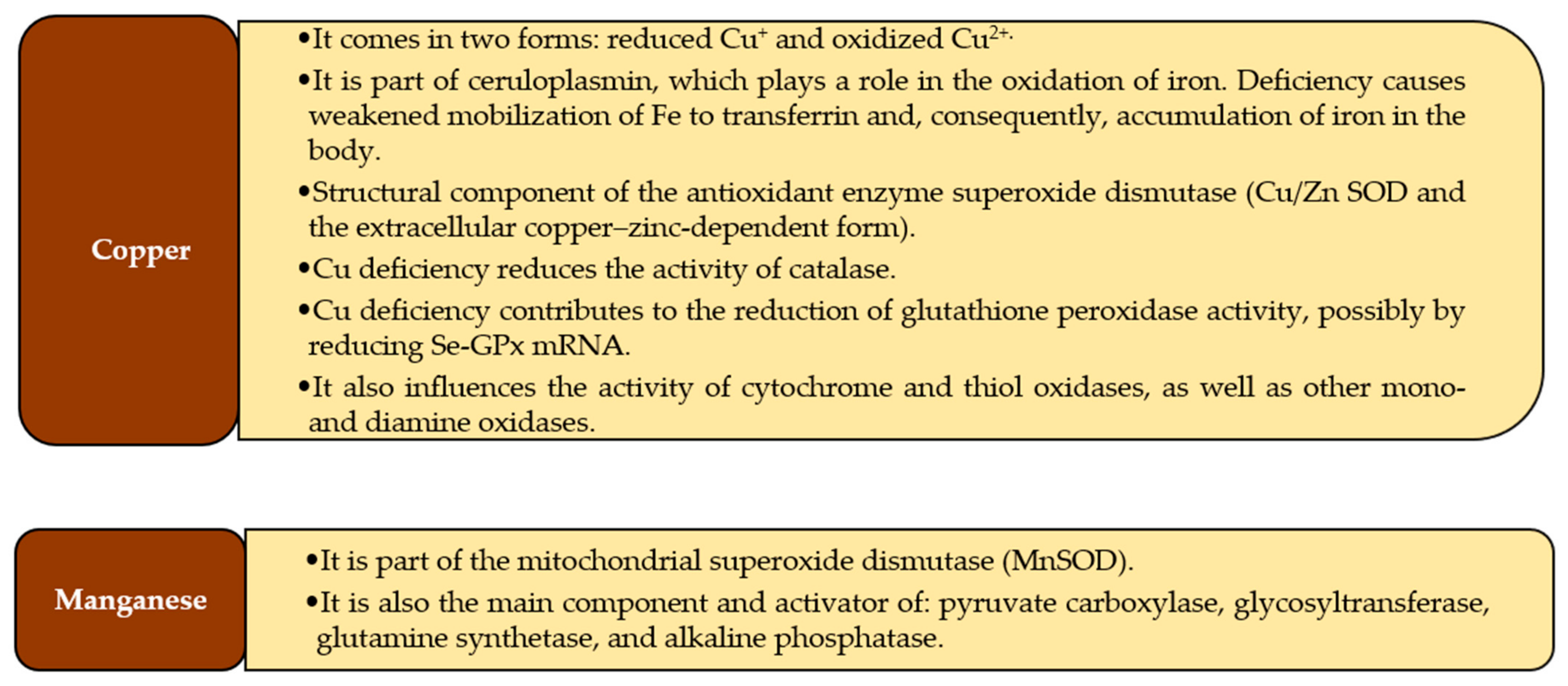 Antioxidants 10 01709 g001b Antioxidants 10 01709 g001b