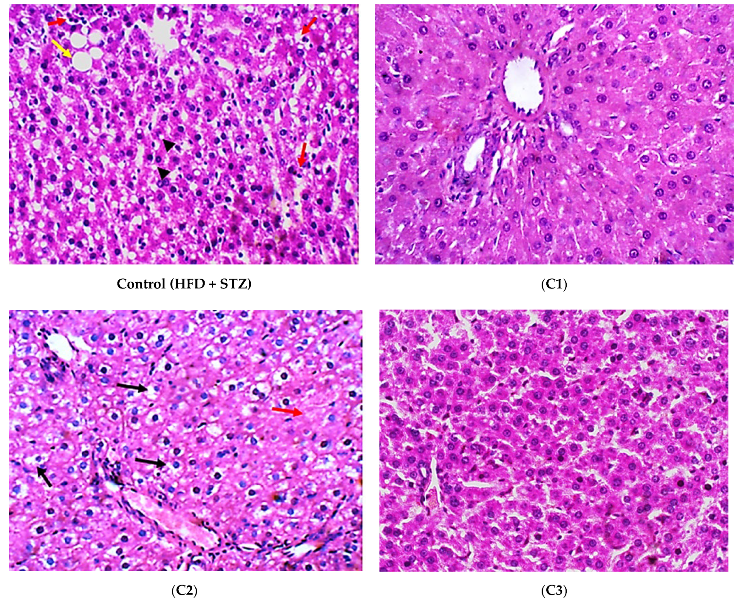 Antioxidants 10 01713 g005a