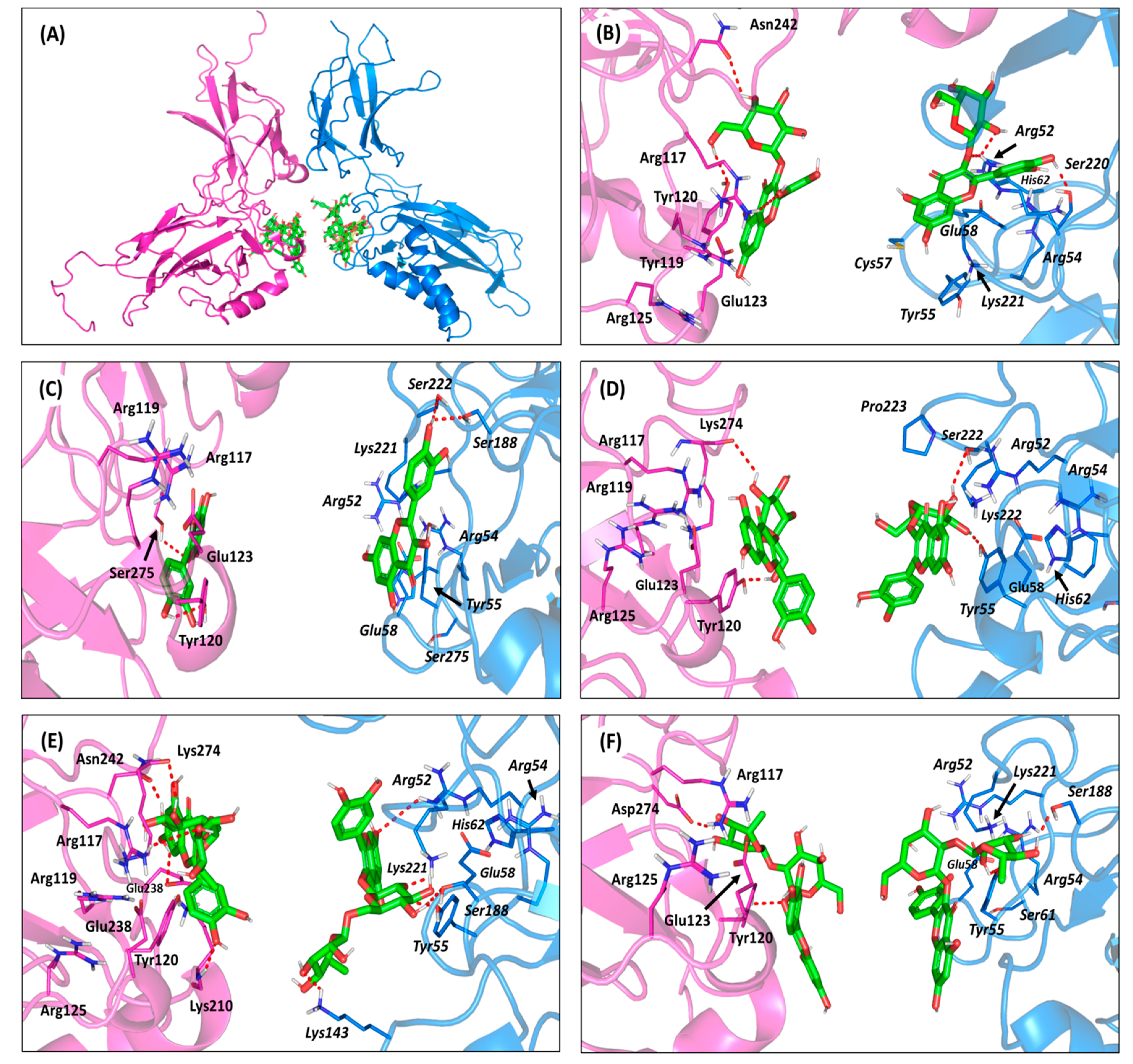Antioxidants 10 01713 g007