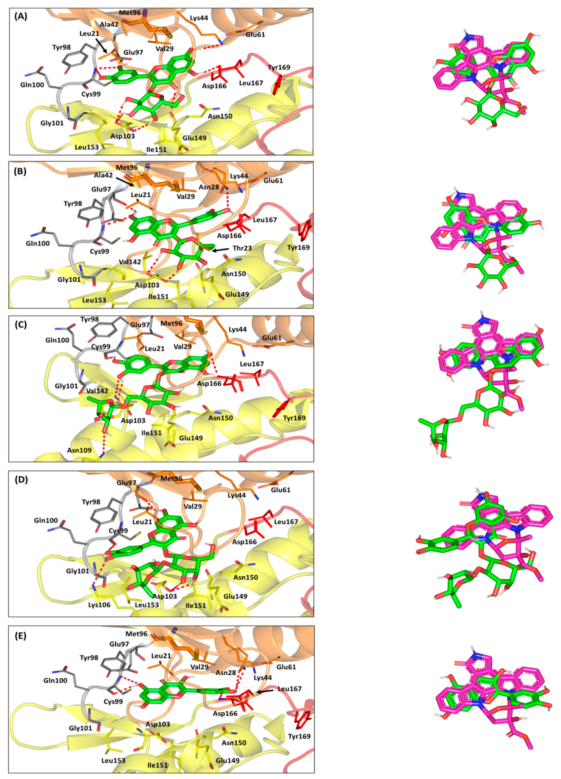 Antioxidants 10 01713 g008