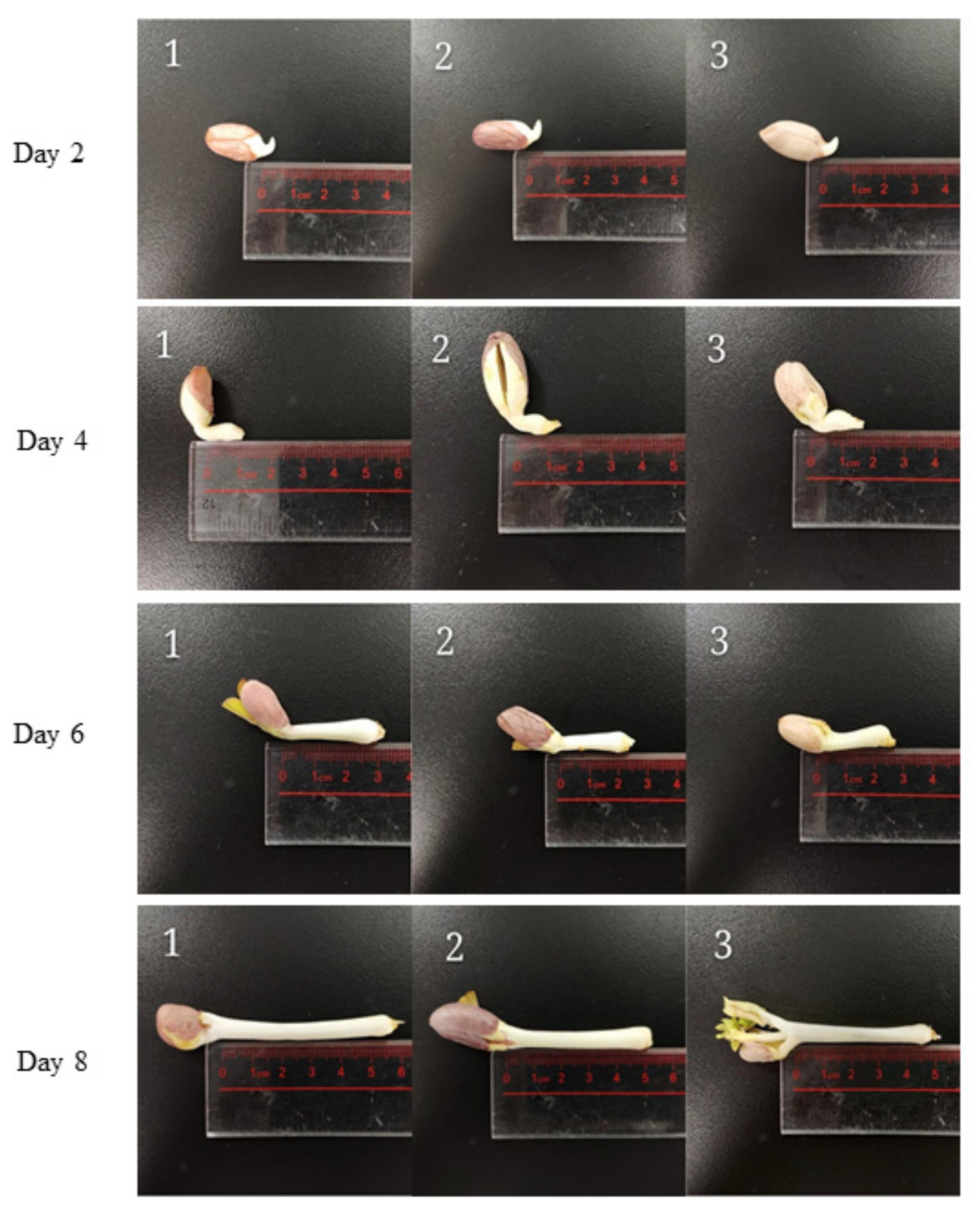 Antioxidants 10 01714 g002 Antioxidants 10 01714 g002