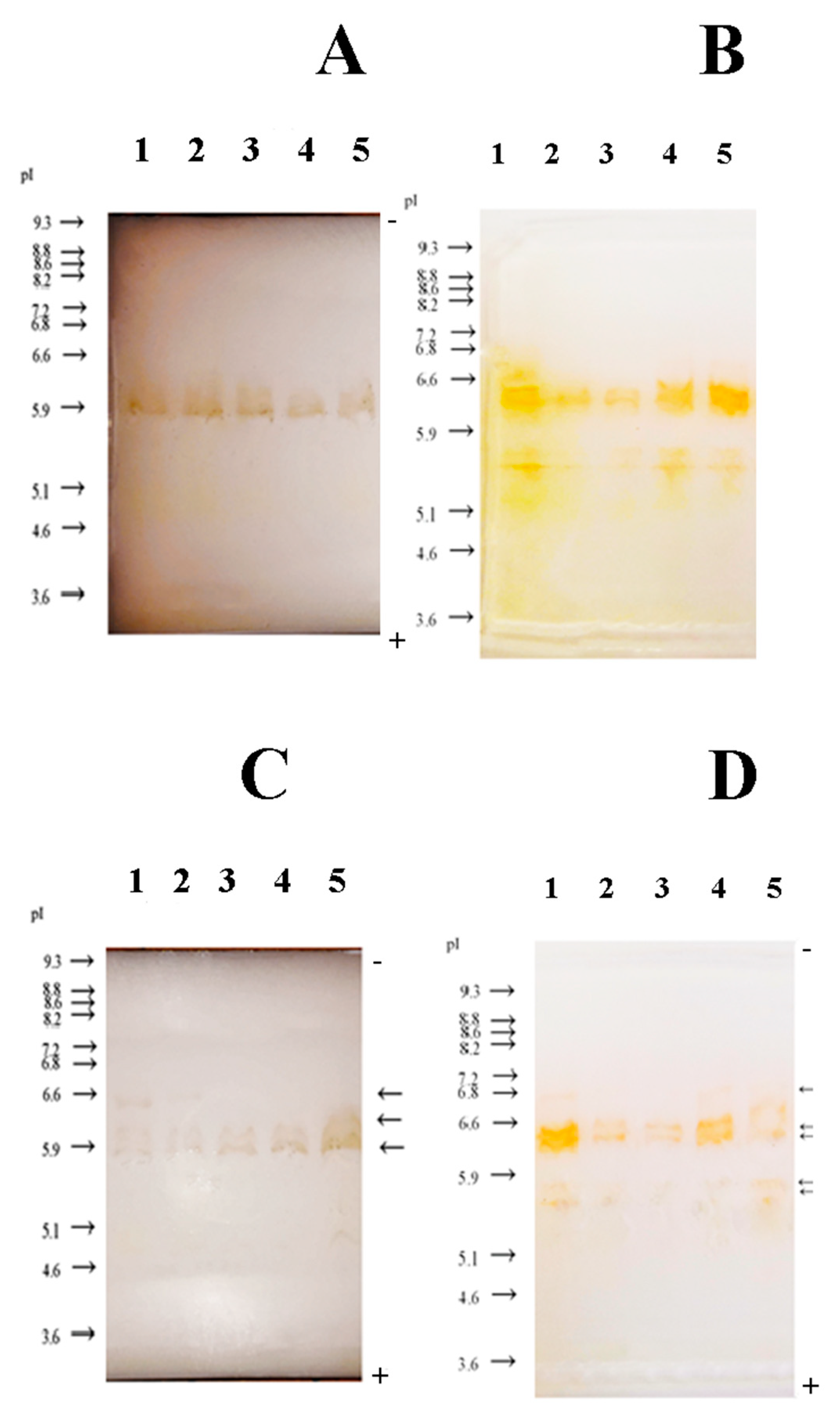 Antioxidants 10 01719 g003