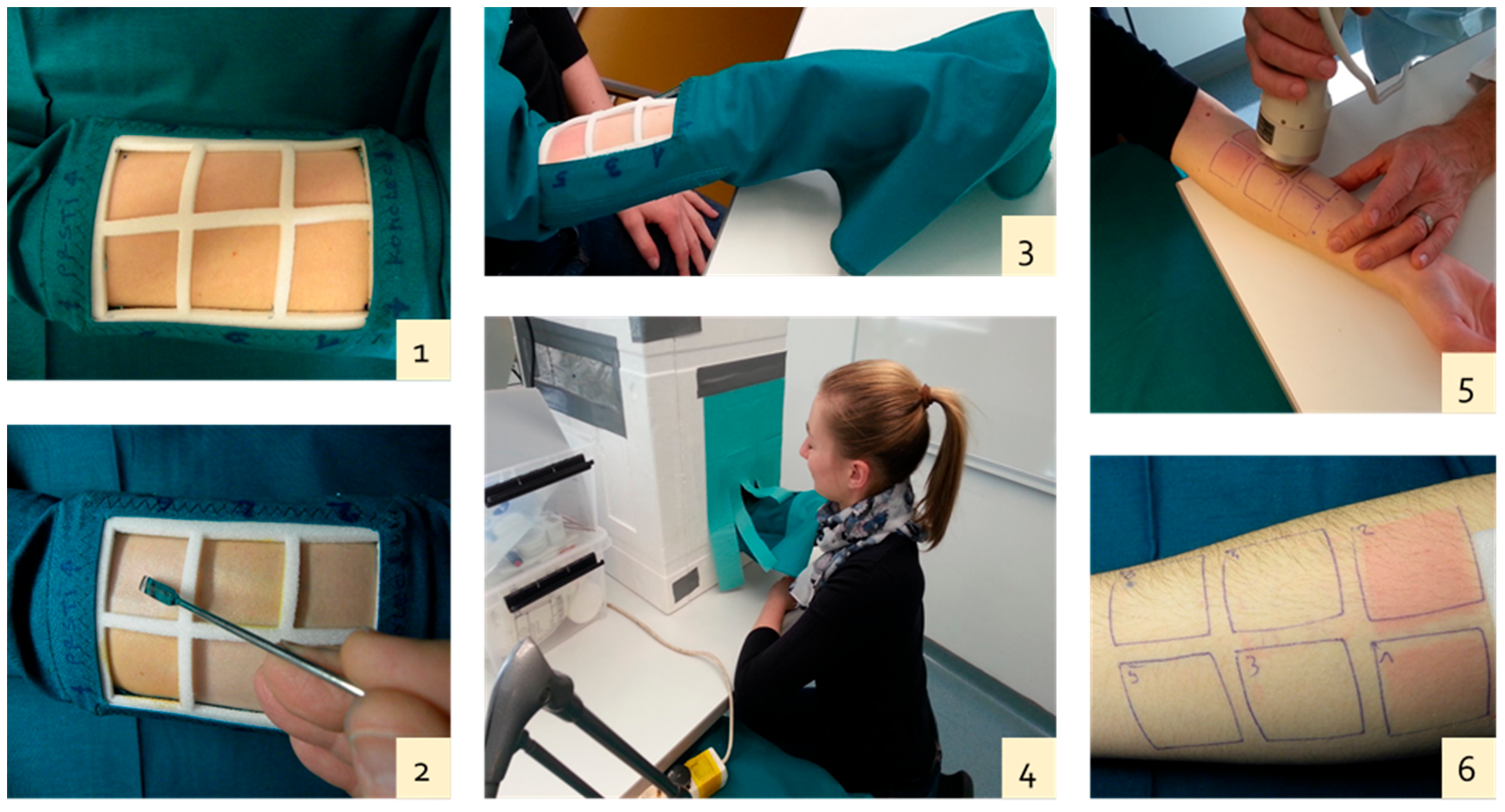 Antioxidants 10 01720 g001