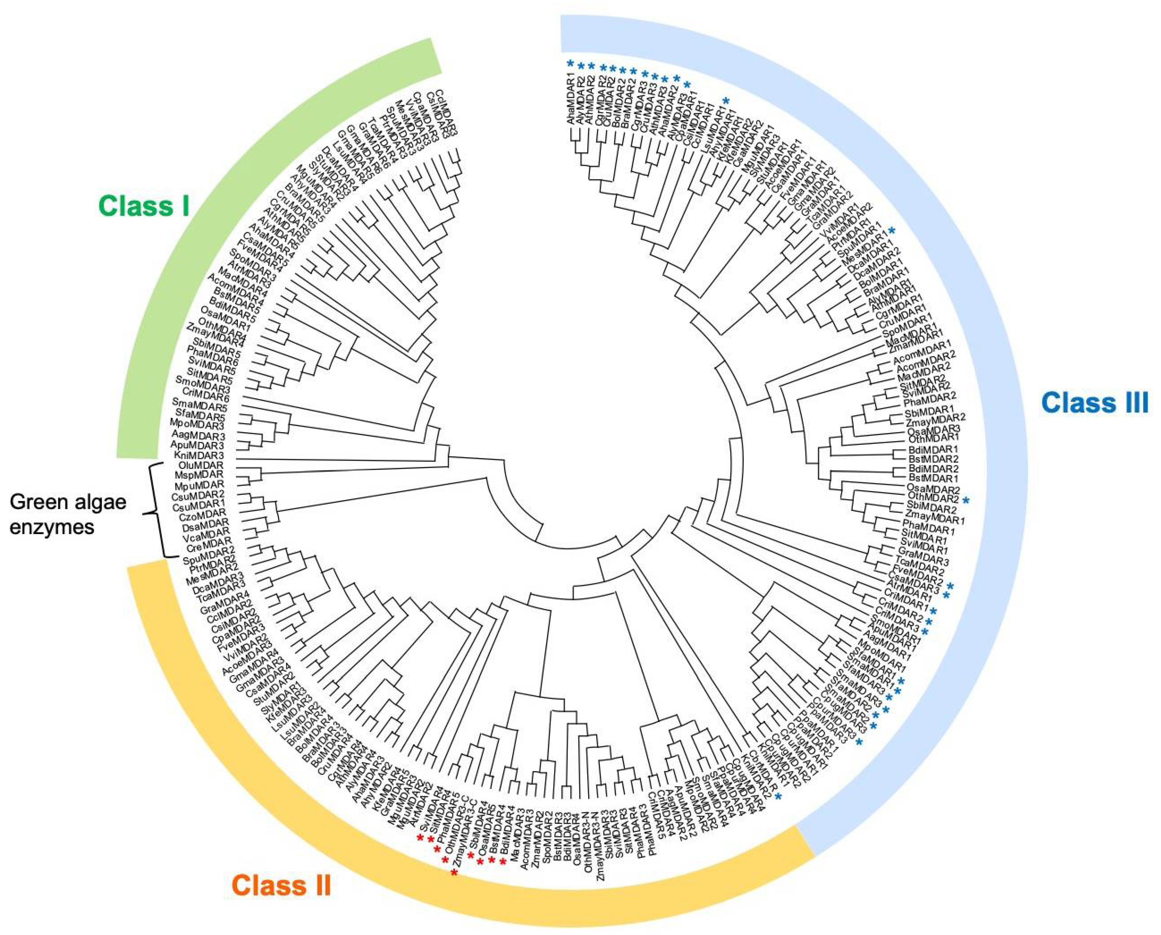 Antioxidants 10 01726 g002