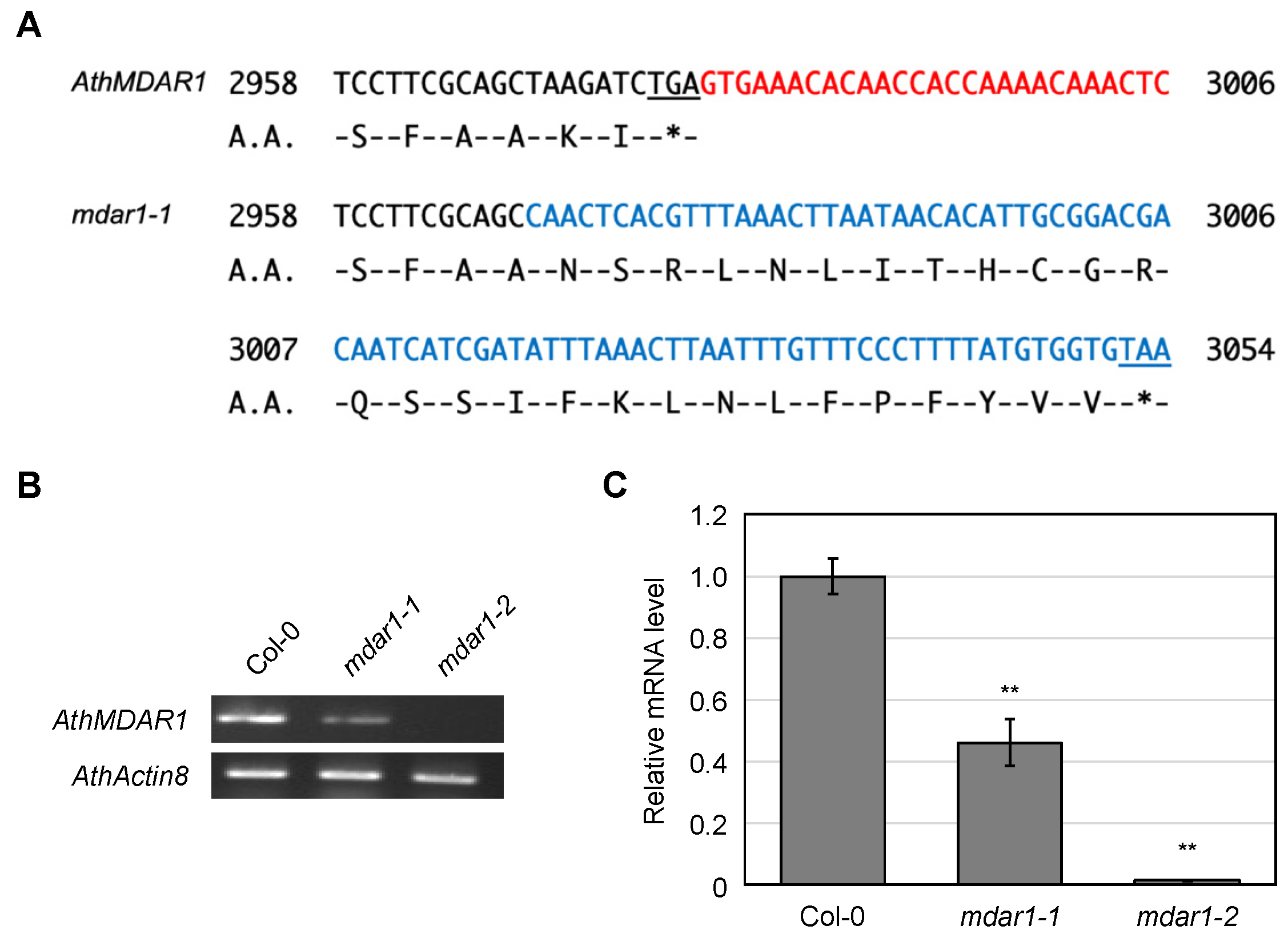 Antioxidants 10 01726 g006