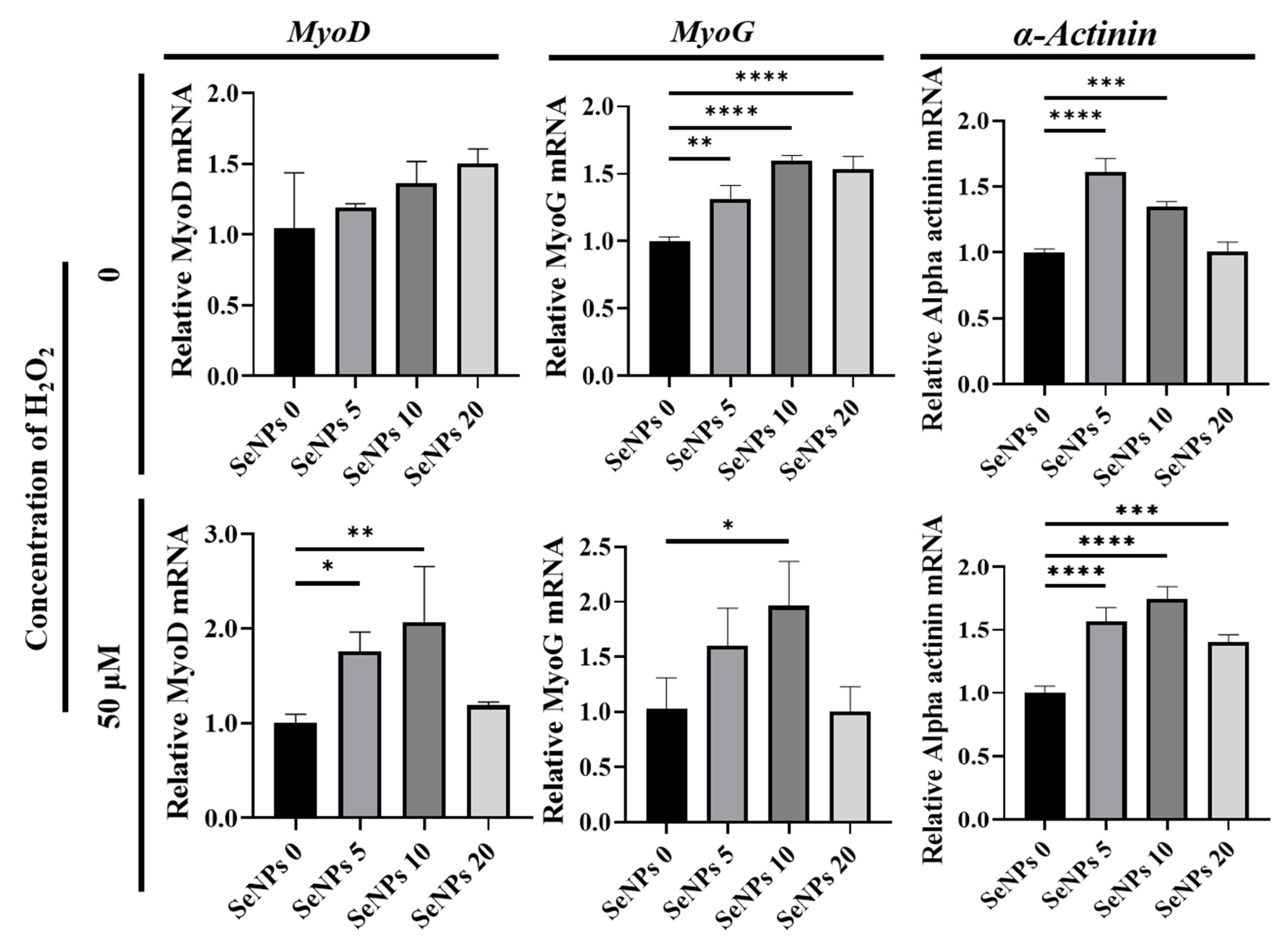 Antioxidants 10 01727 g005 Antioxidants 10 01727 g005