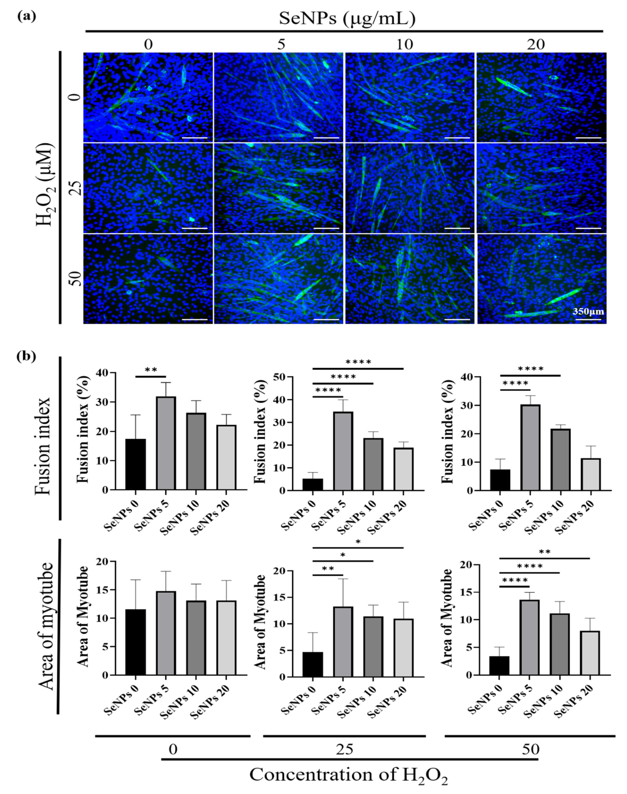 Antioxidants 10 01727 g006 Antioxidants 10 01727 g006