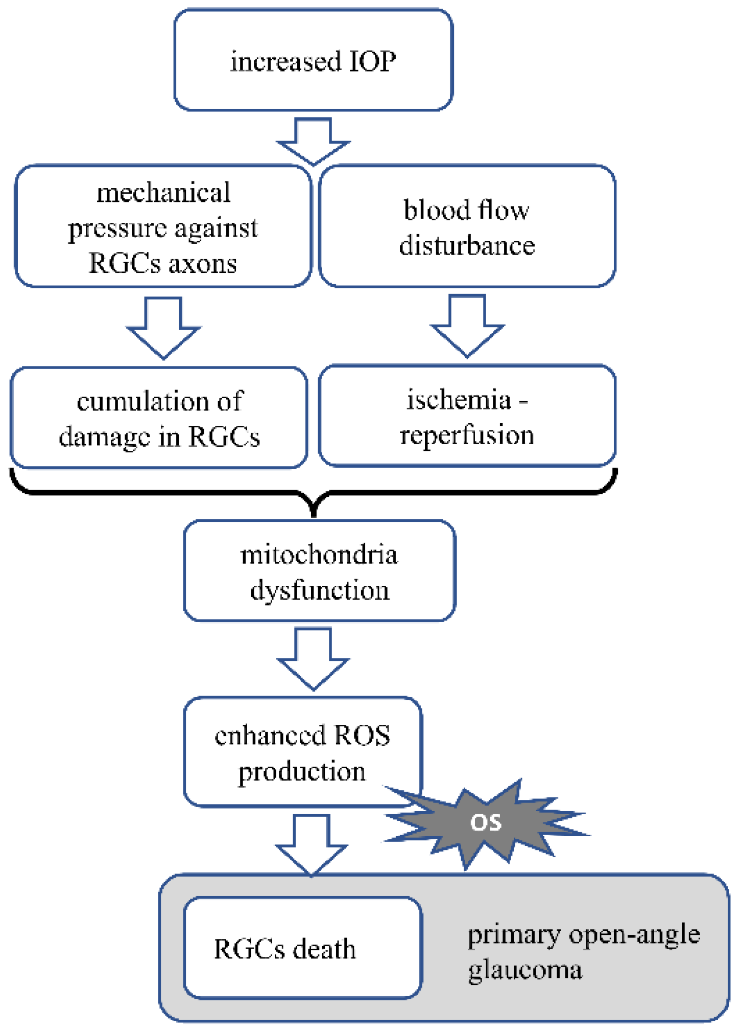 Antioxidants 10 01743 g002 Antioxidants 10 01743 g002