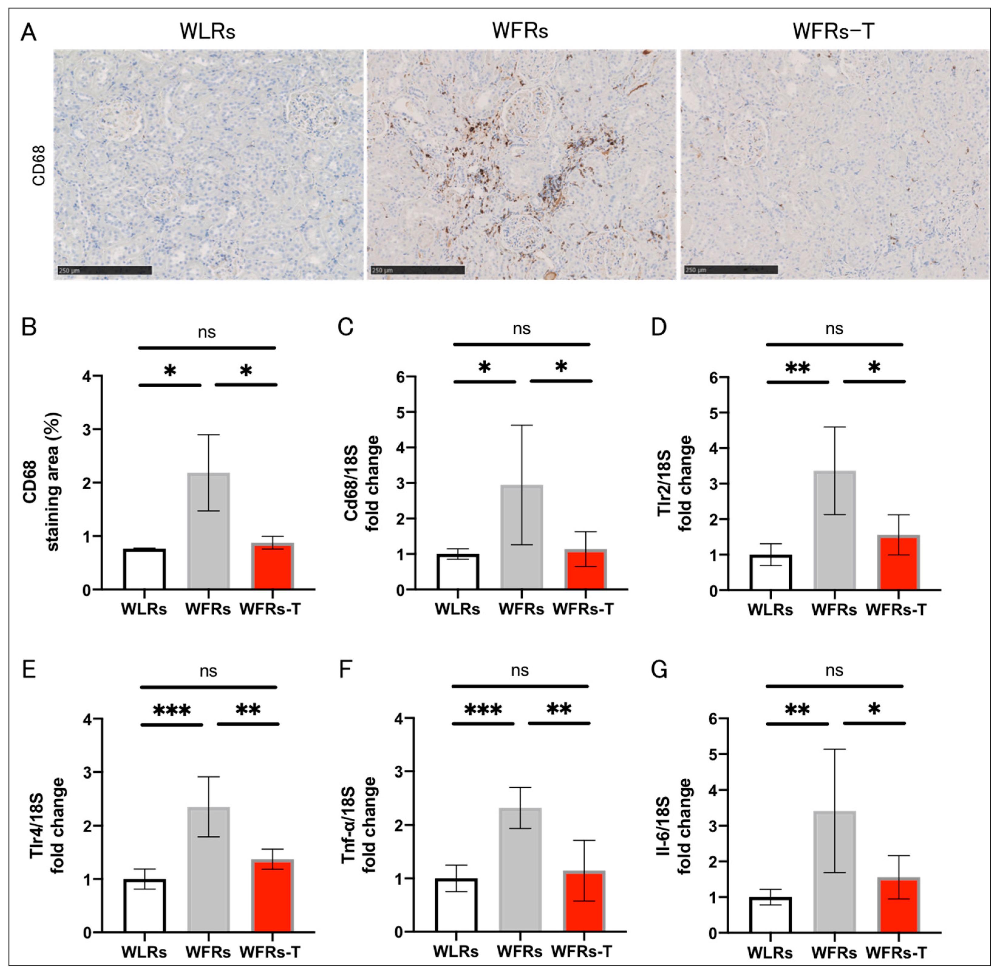 Antioxidants 10 01754 g003 550