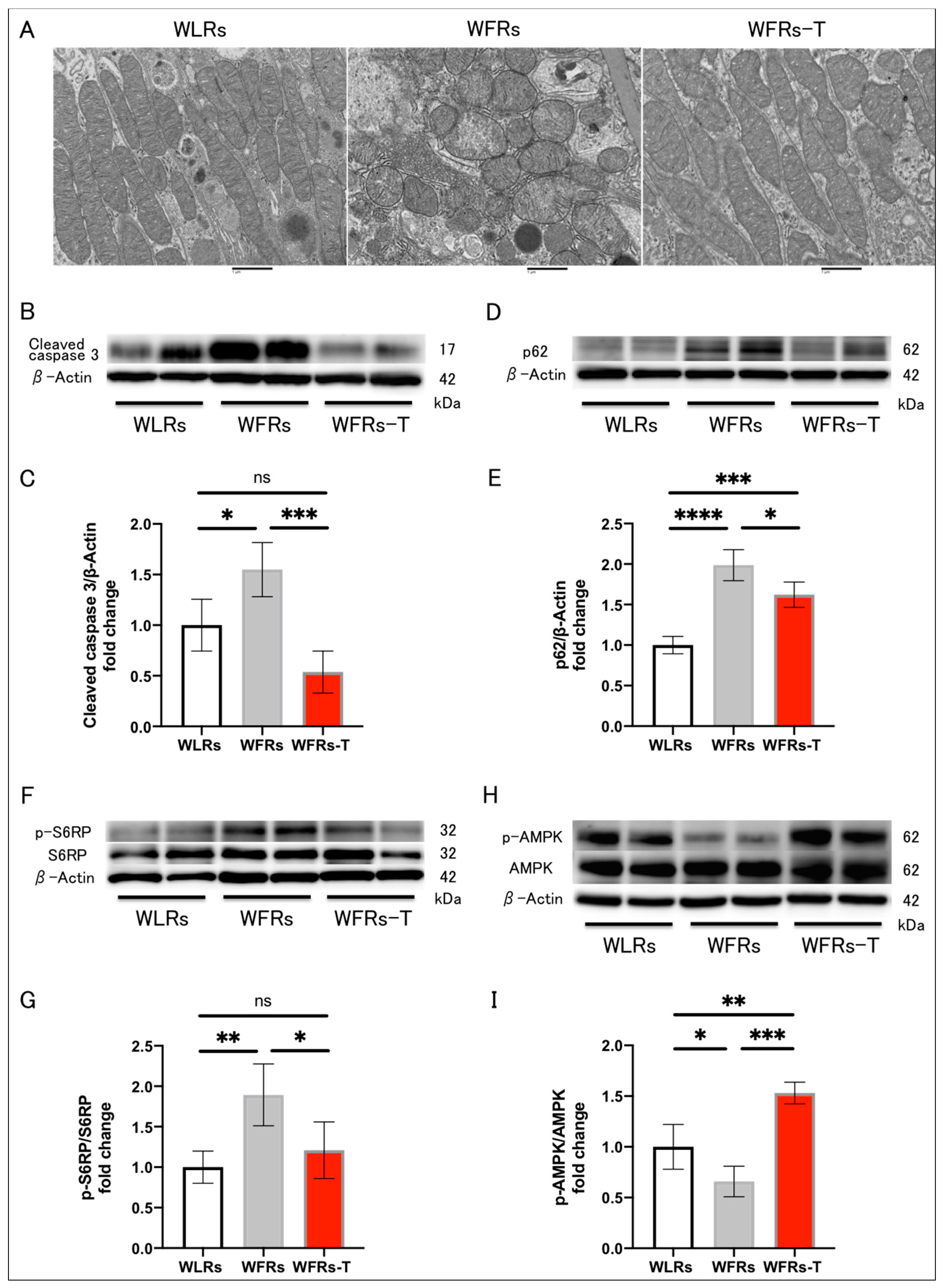 Antioxidants 10 01754 g005 550