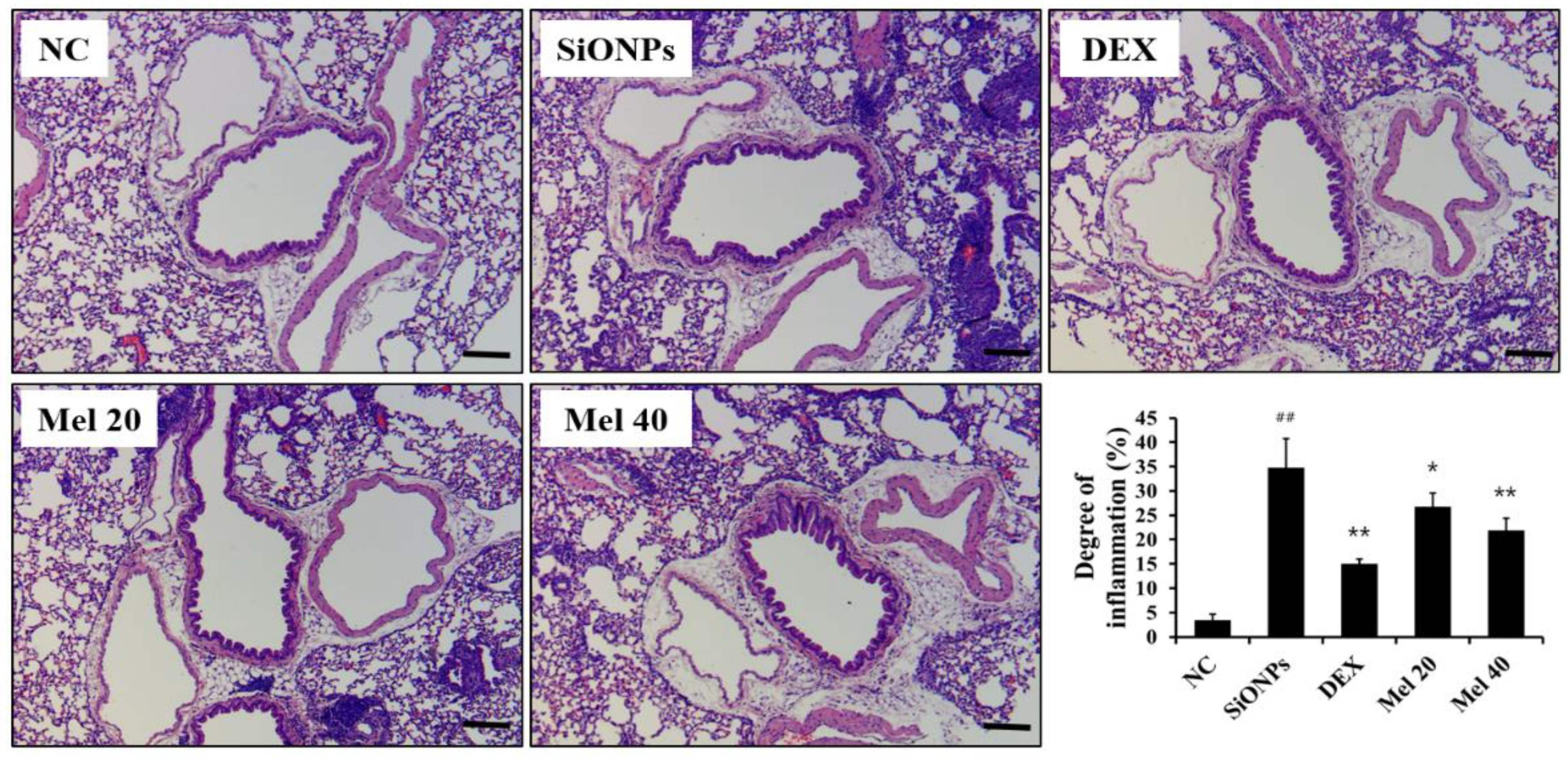 Antioxidants 10 01765 g003 550