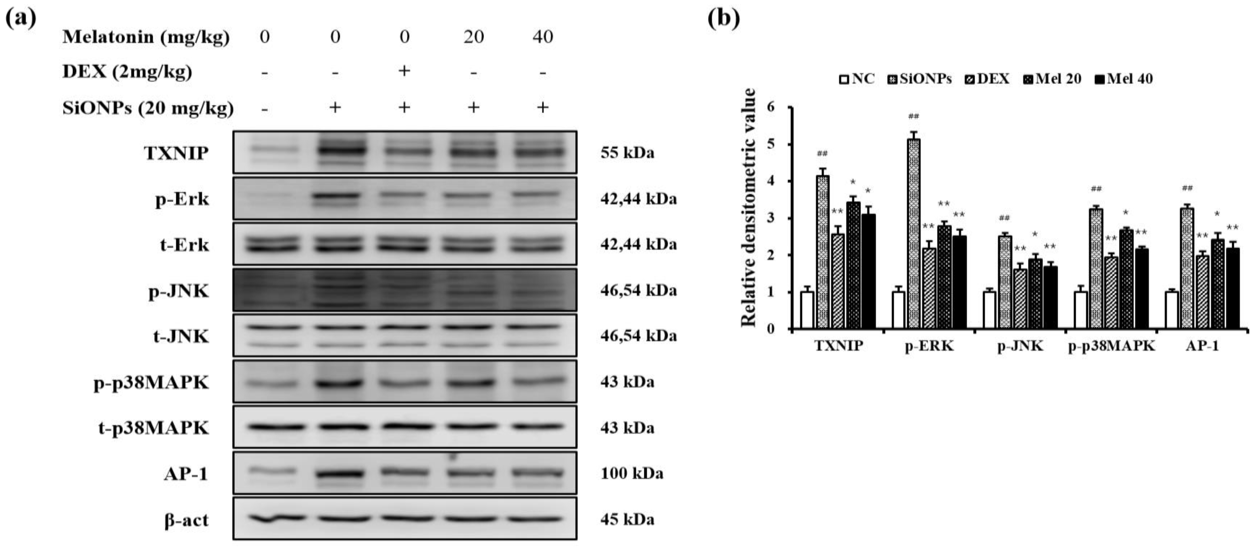 Antioxidants 10 01765 g004 550