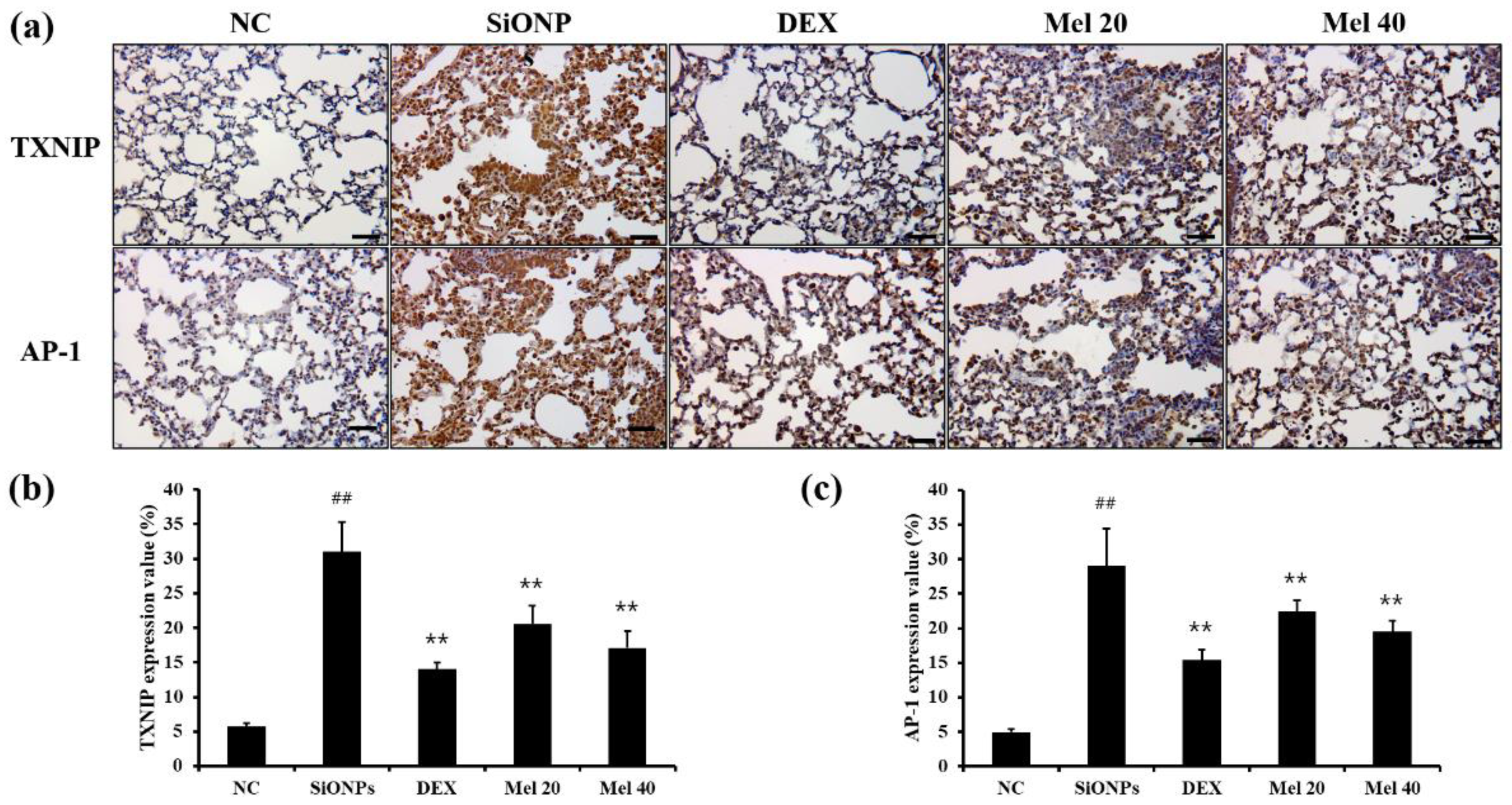 Antioxidants 10 01765 g005 550