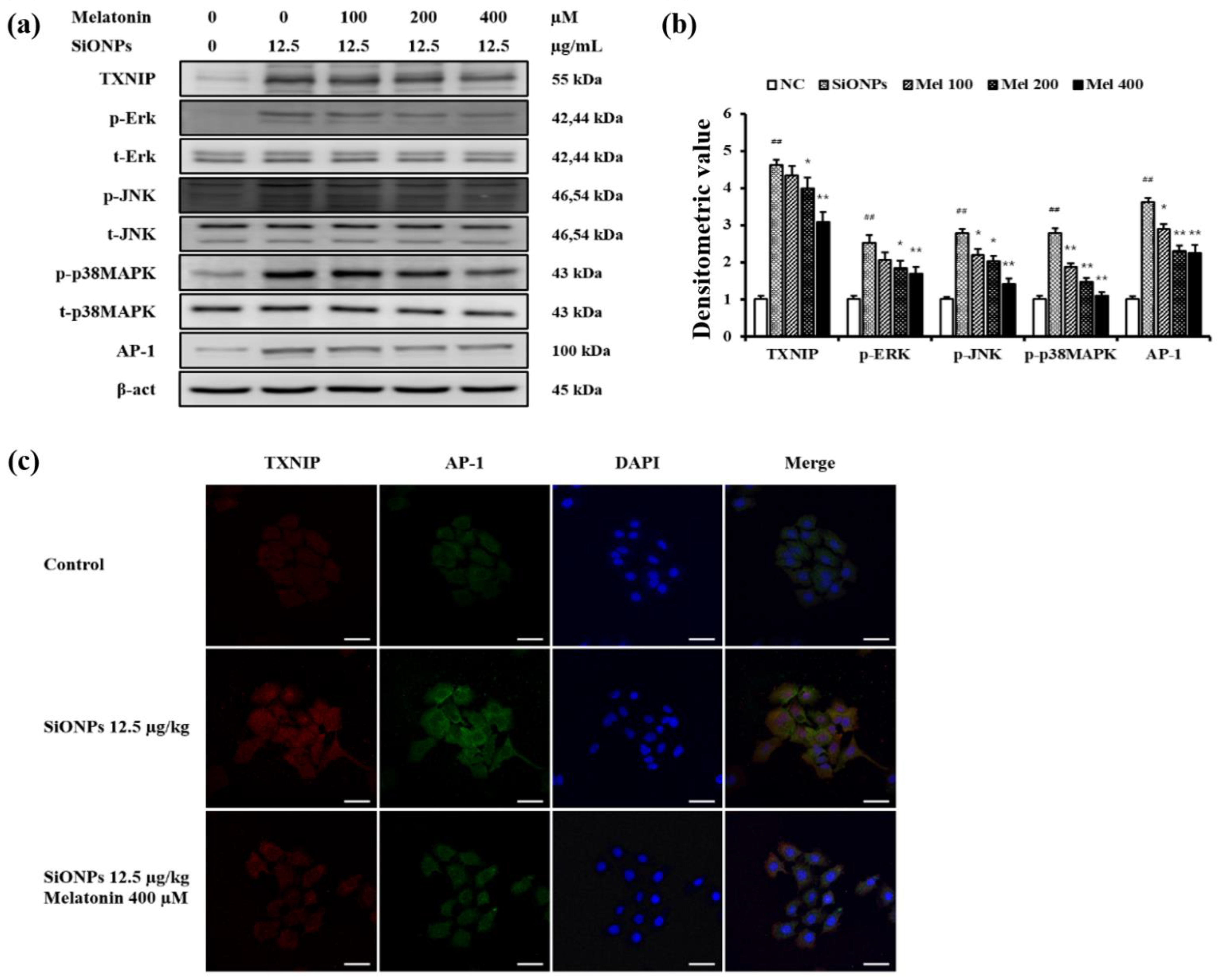Antioxidants 10 01765 g007 550