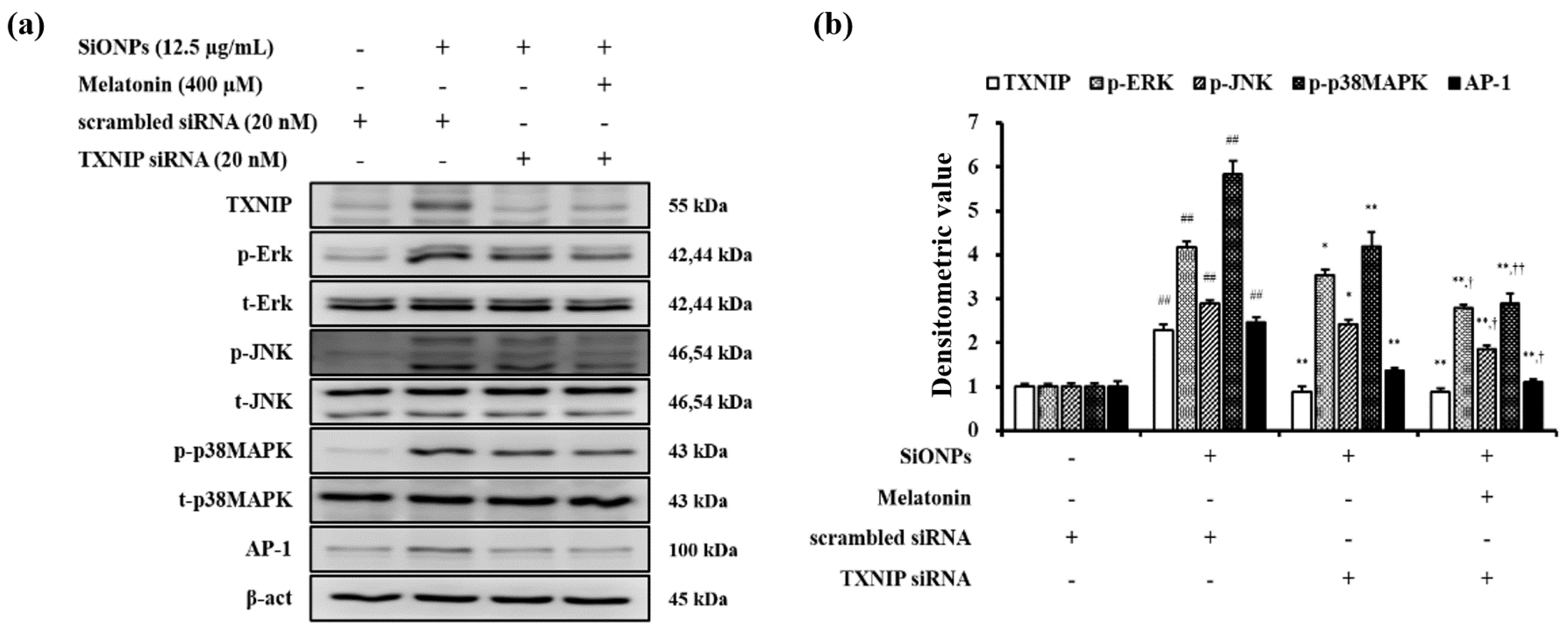 Antioxidants 10 01765 g008 550