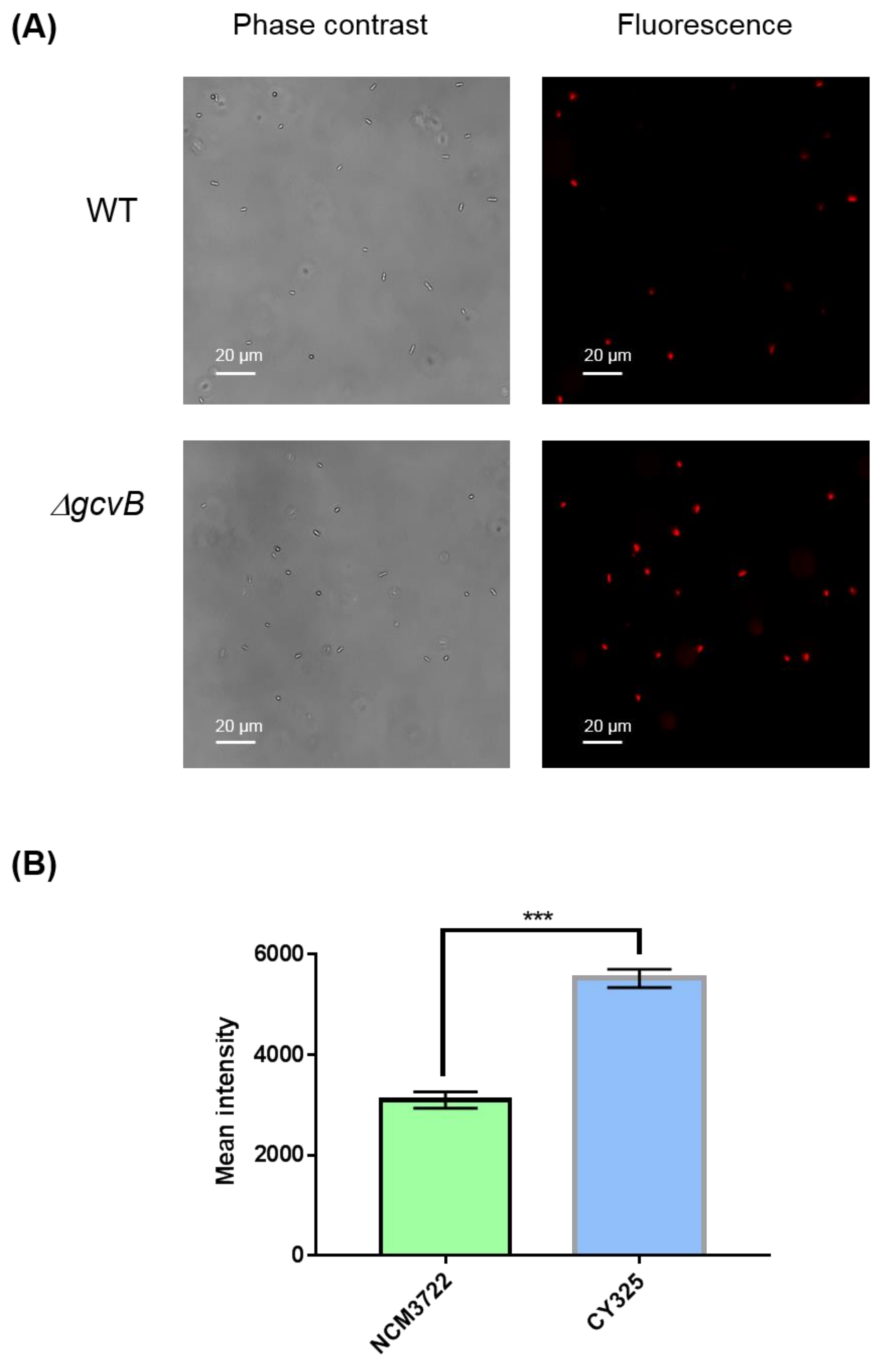 Antioxidants 10 01774 g006 550