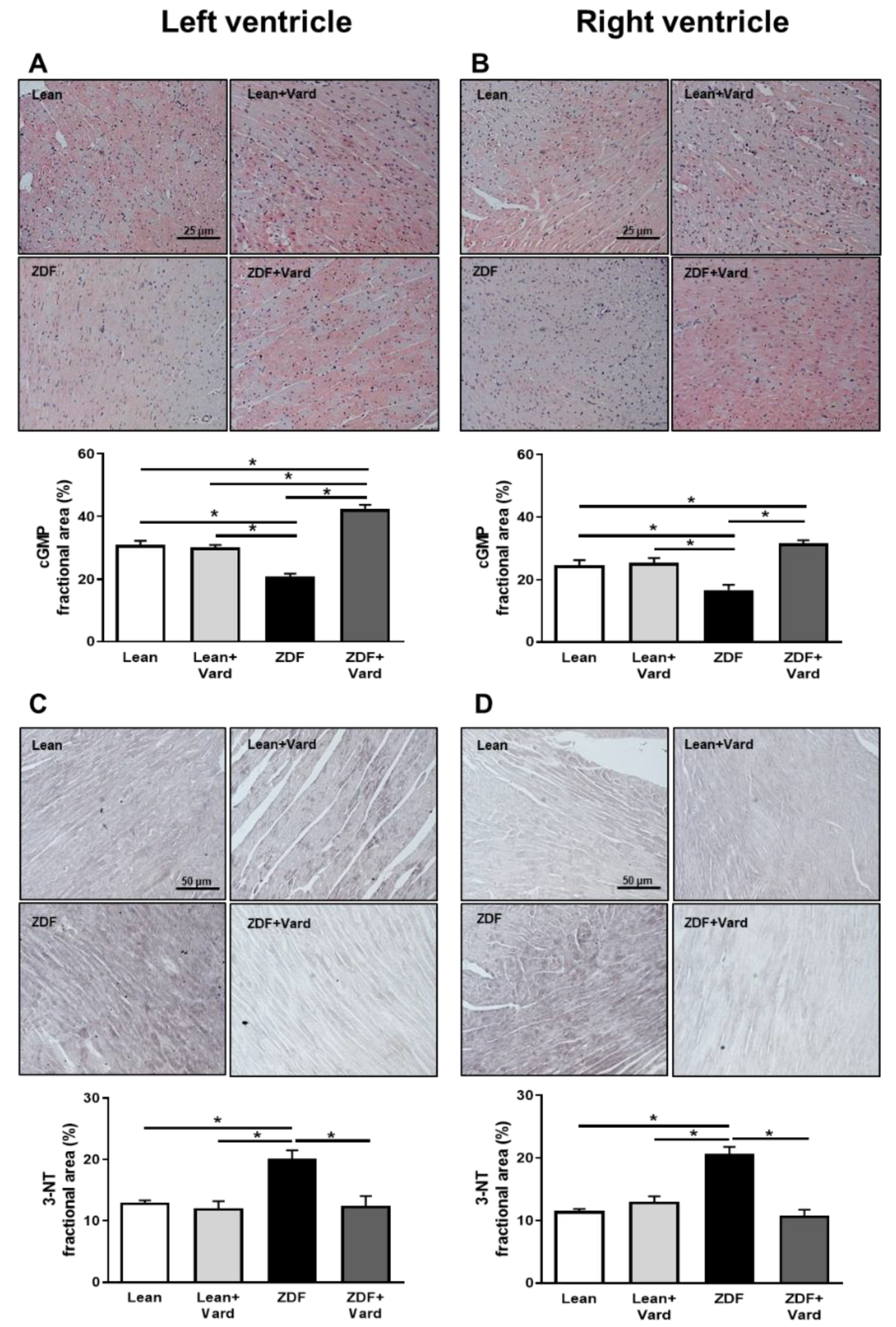 Antioxidants 10 01776 g001