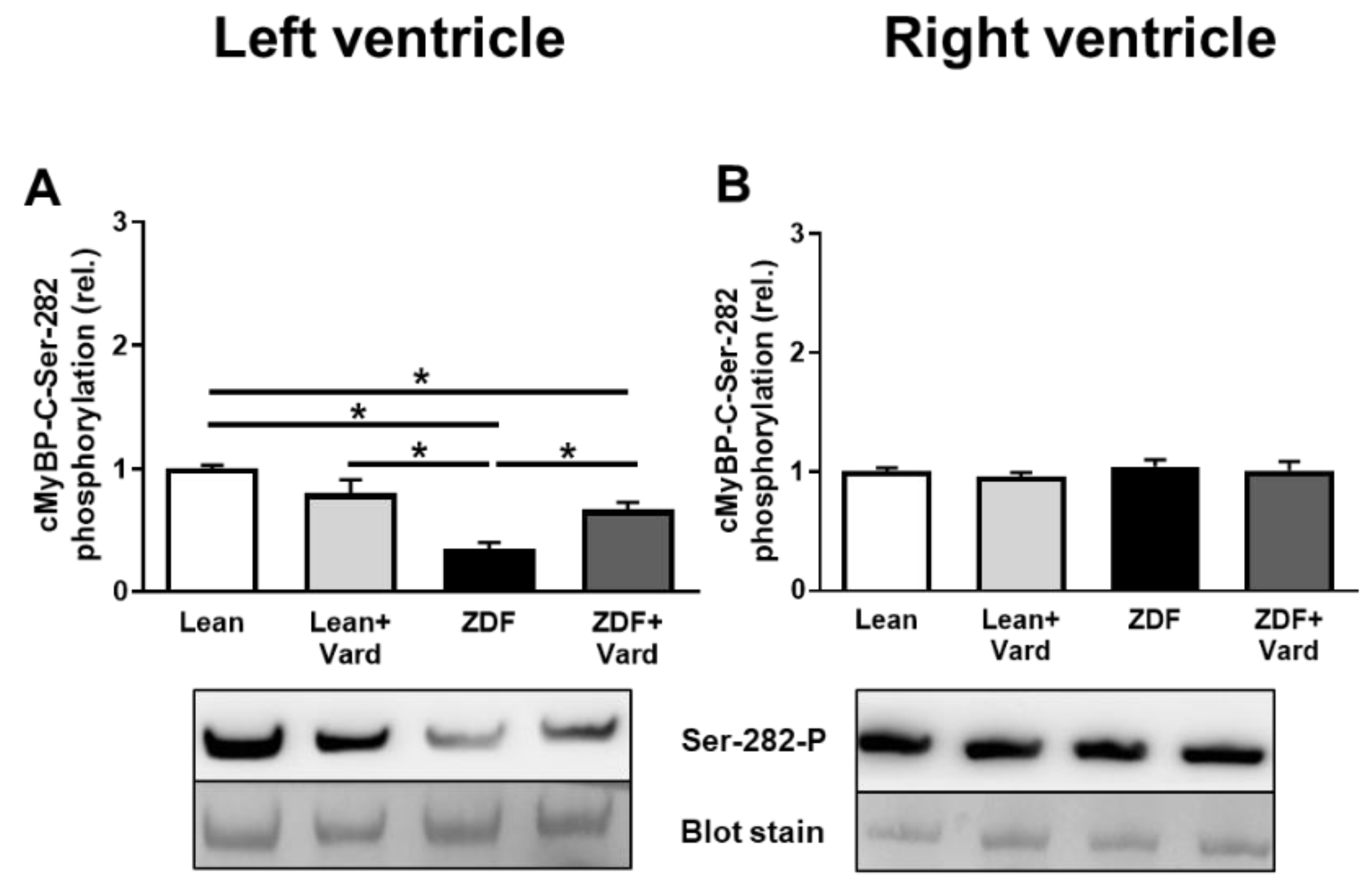 Antioxidants 10 01776 g005