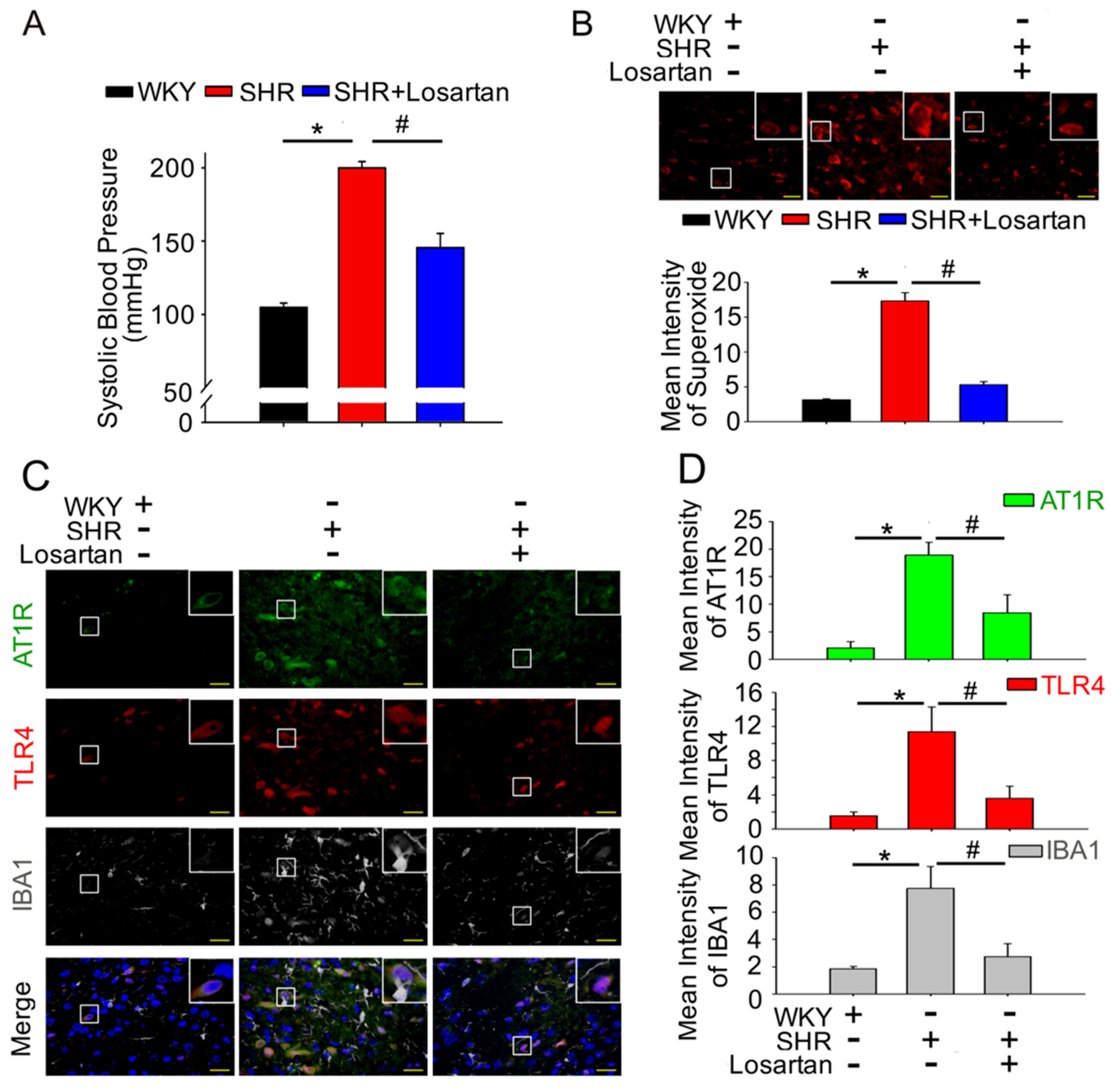 Antioxidants 10 01784 g002 Antioxidants 10 01784 g002