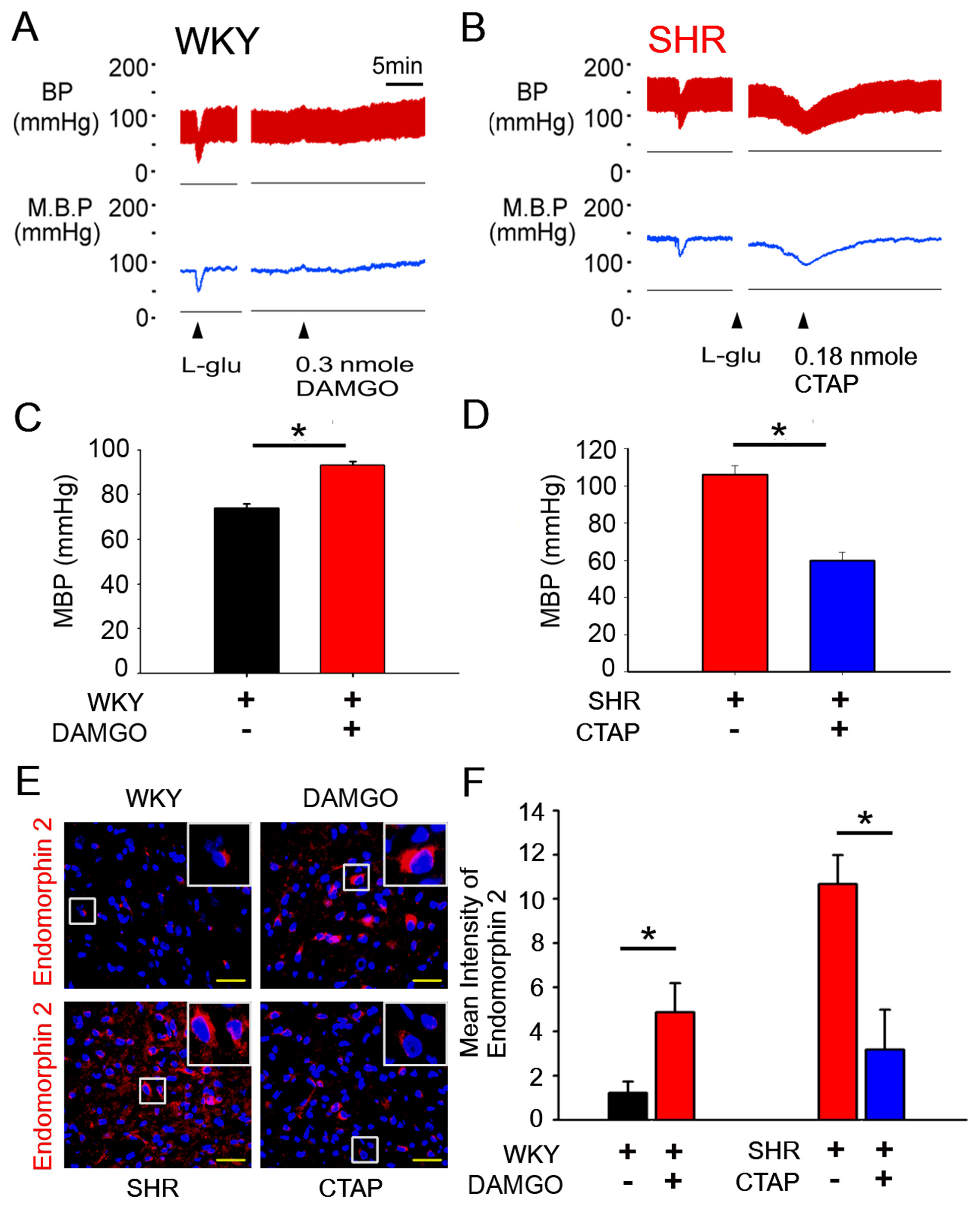 Antioxidants 10 01784 g003 Antioxidants 10 01784 g003
