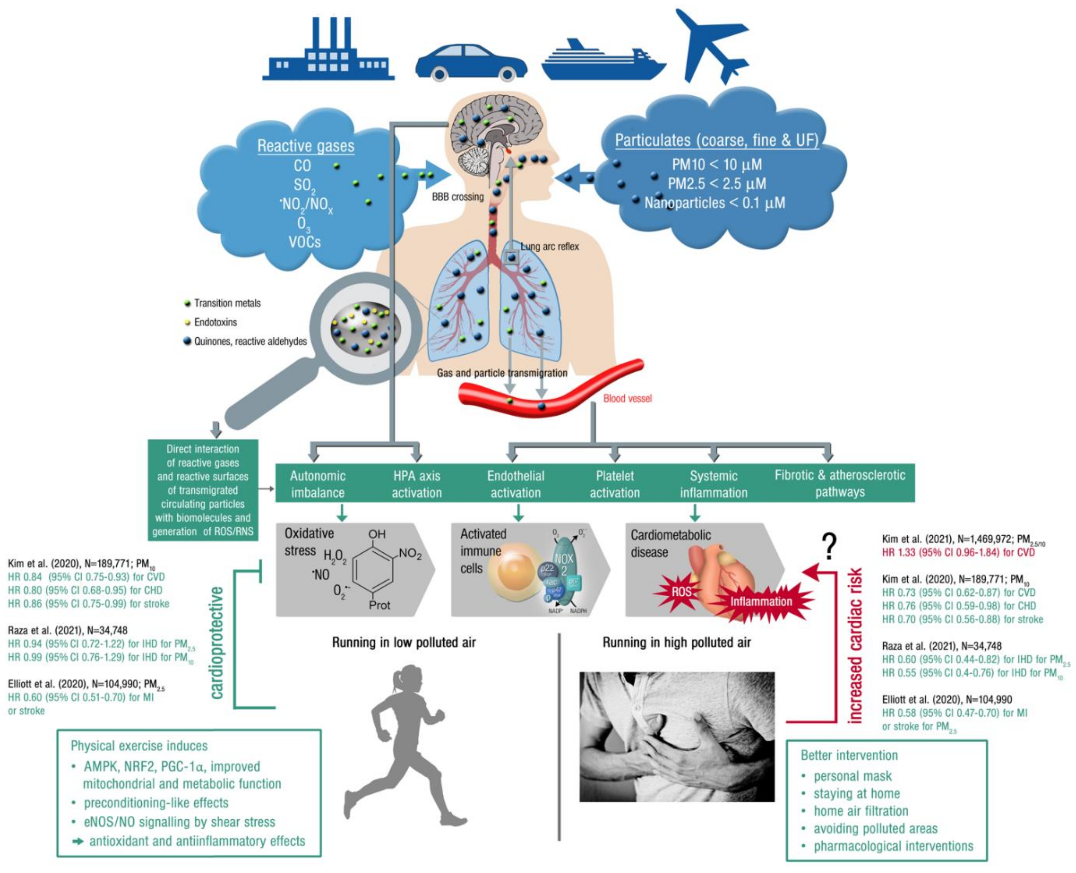 Antioxidants 10 01787 g004