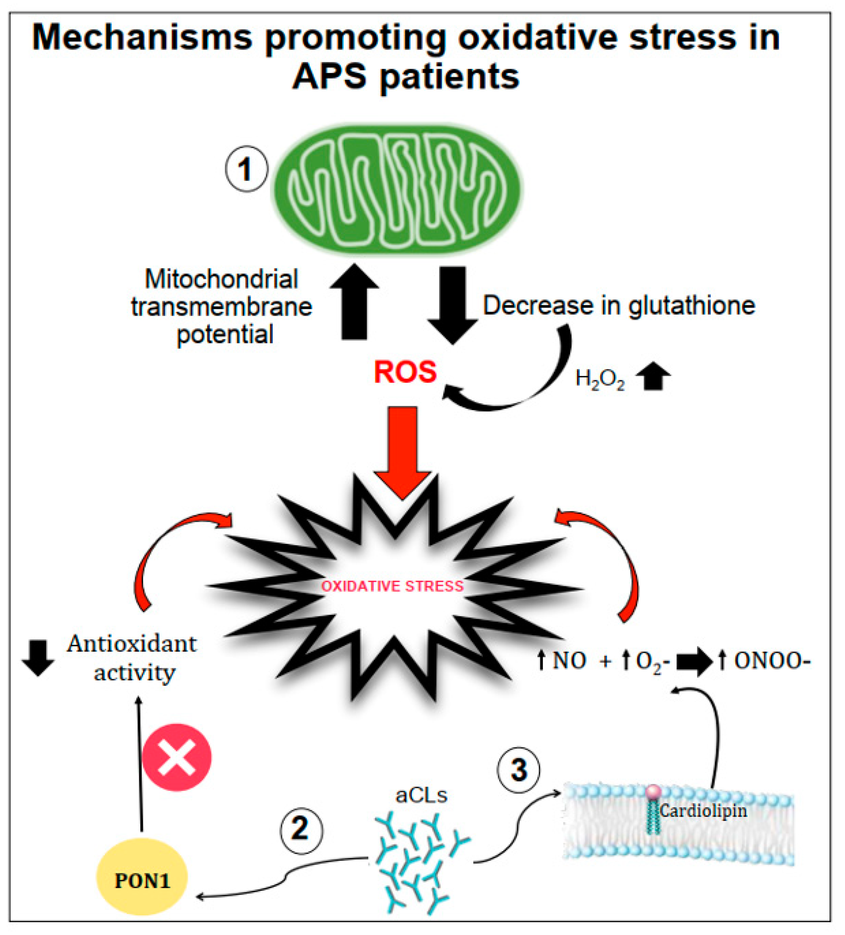 Antioxidants 10 01790 g001